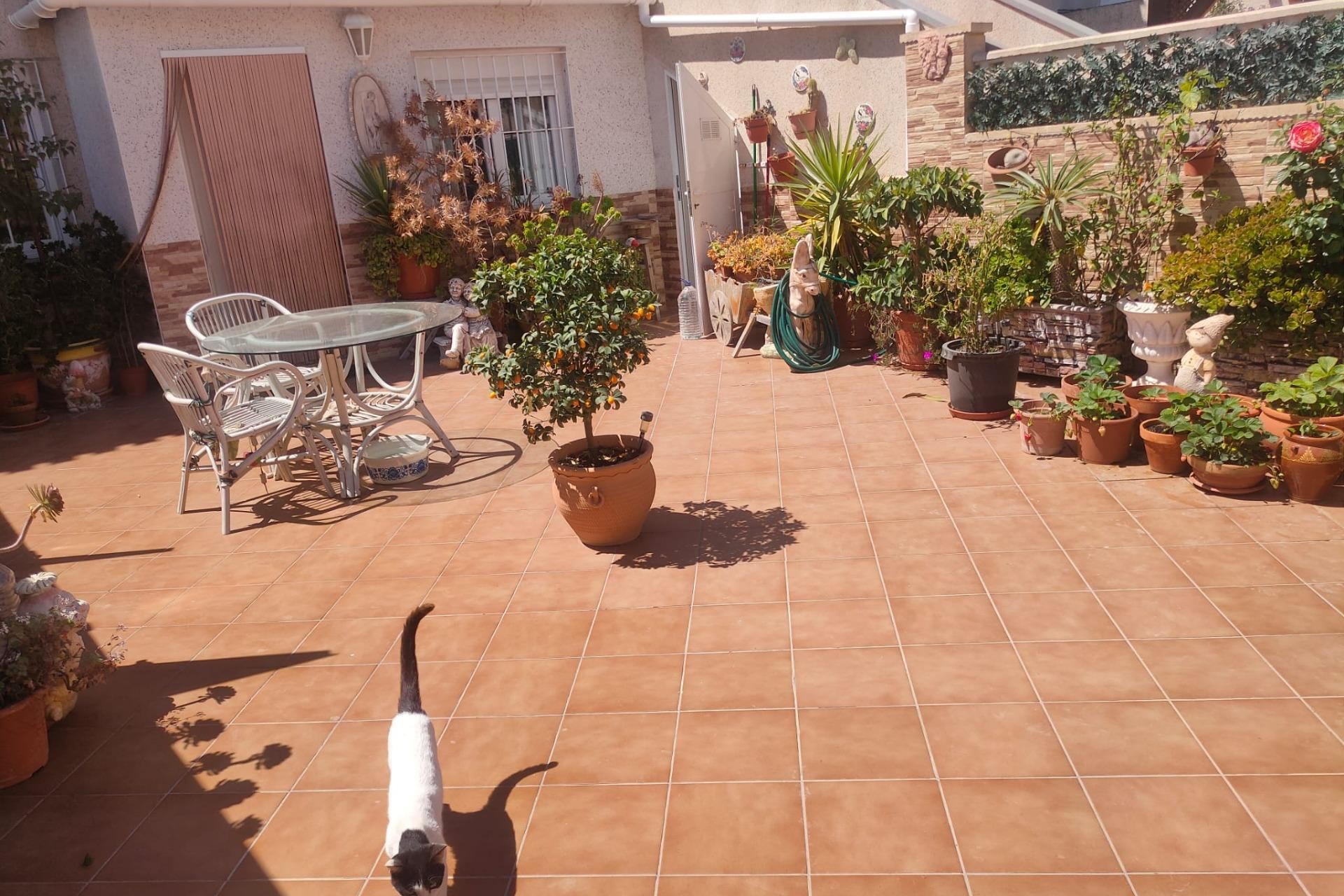 Resale - Apartment -
Orihuela Costa - La Regia