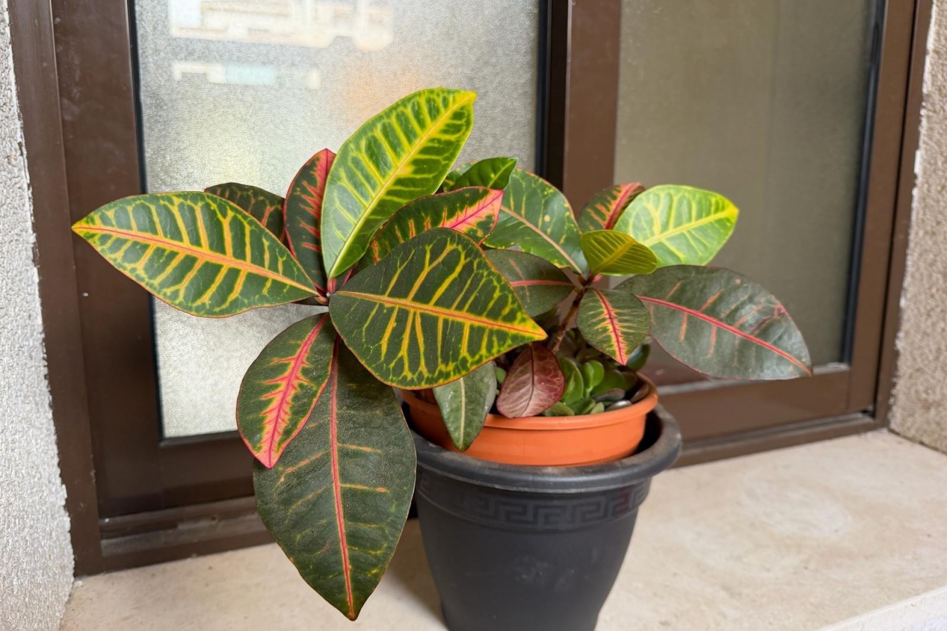 Resale - Apartment -
Orihuela Costa - Las Ramblas