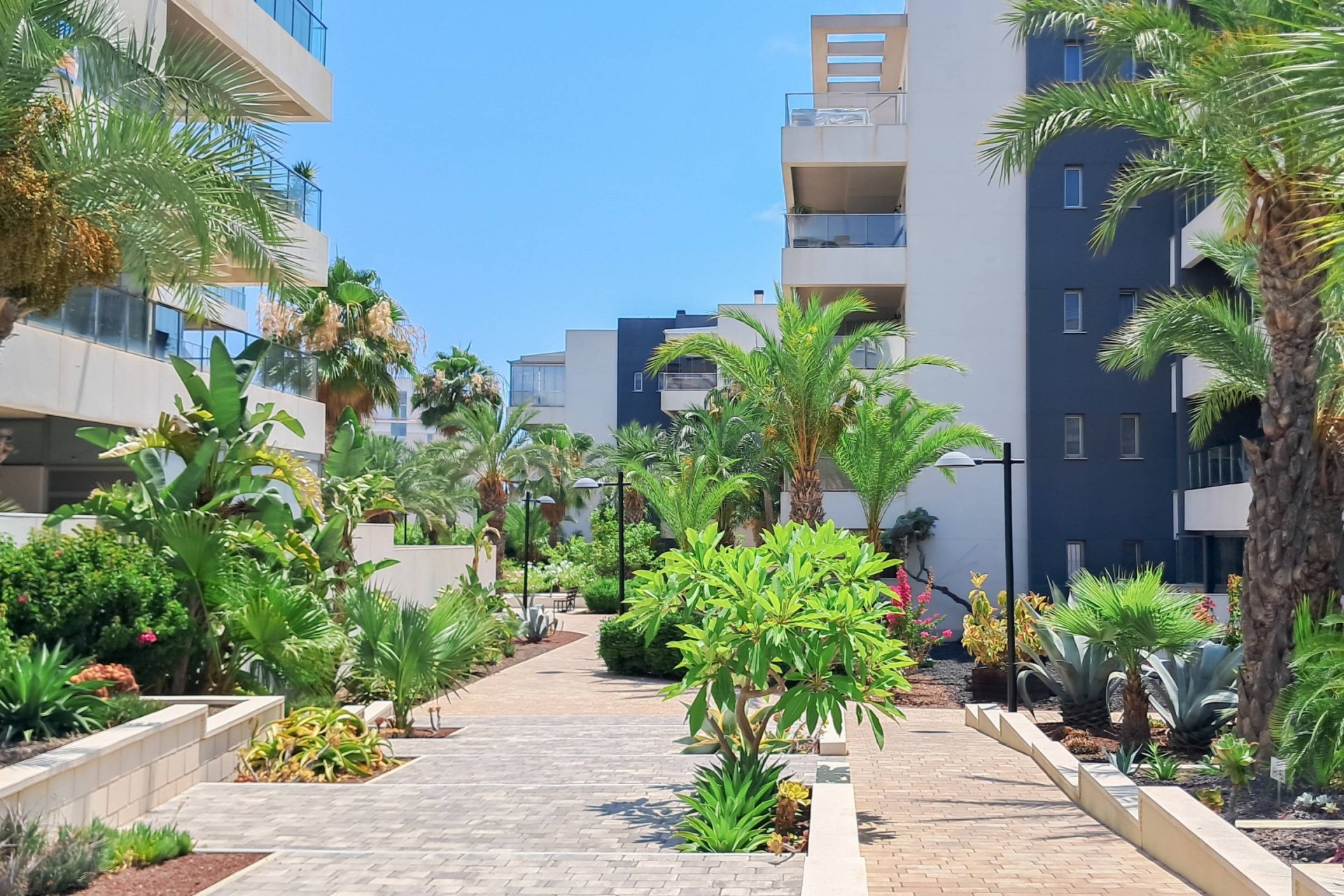 Resale - Apartment -
Orihuela Costa - Los Dolses