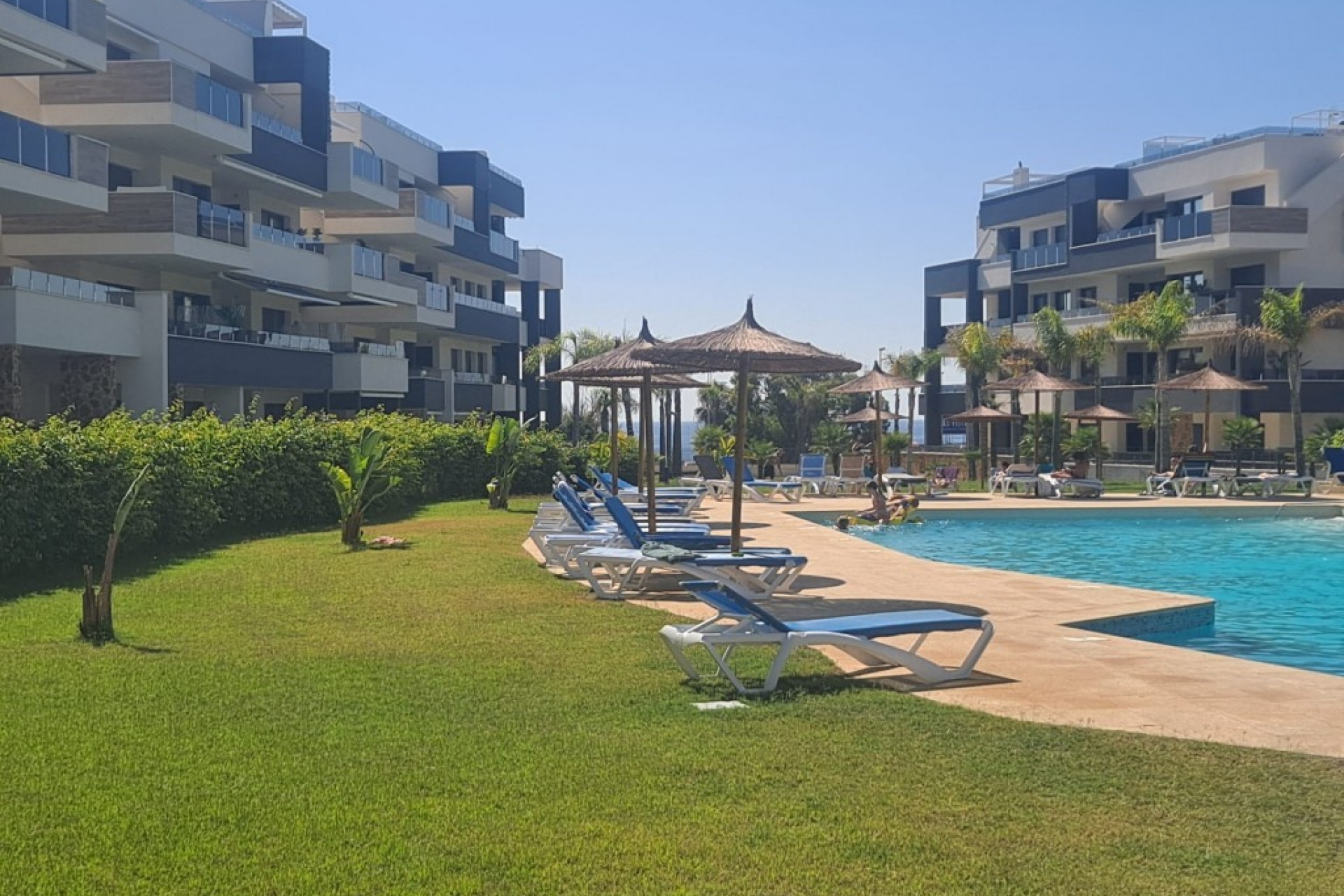 Resale - Apartment -
Playa Flamenca - Costa Blanca