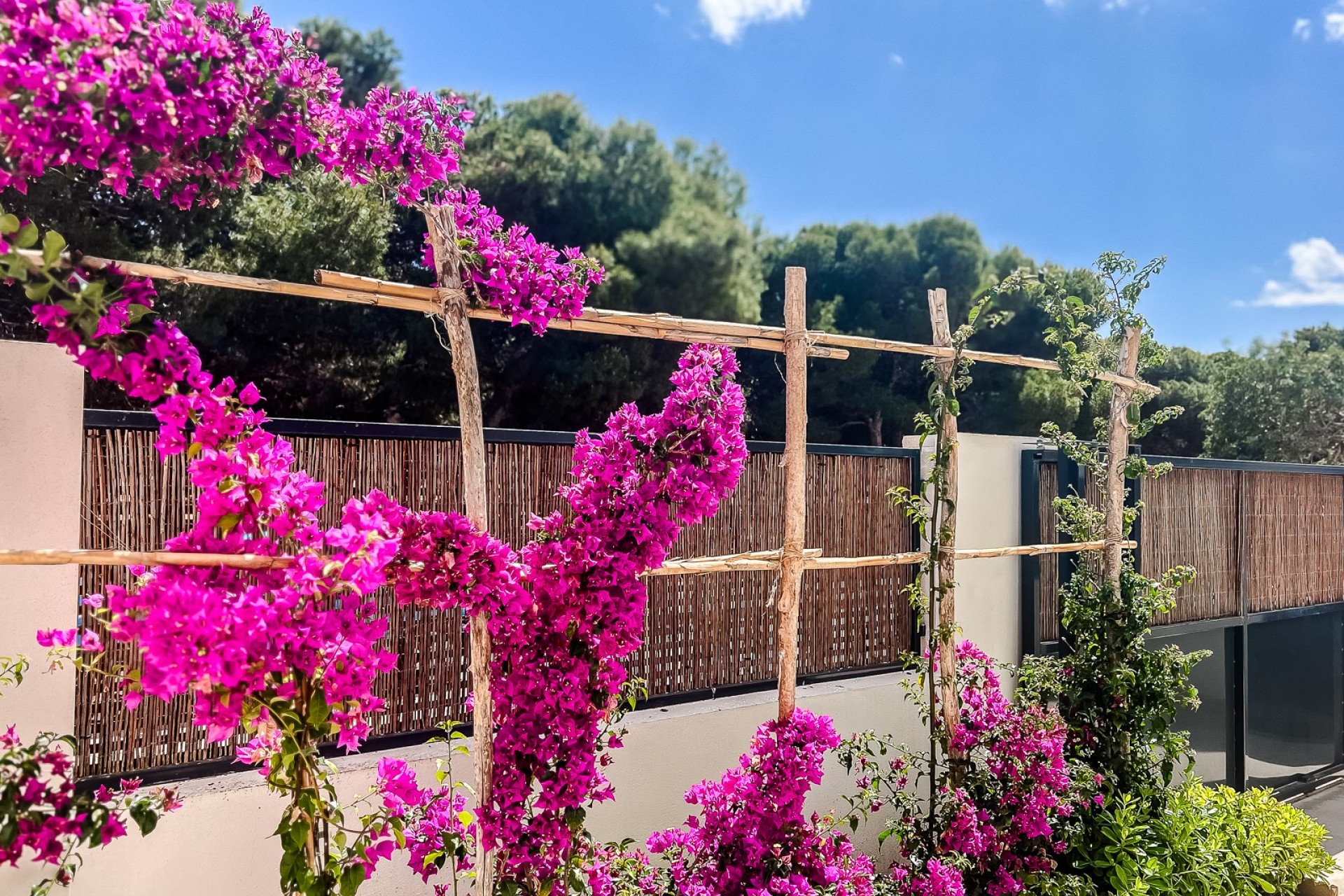 Resale - Apartment -
San Javier - Costa Calida