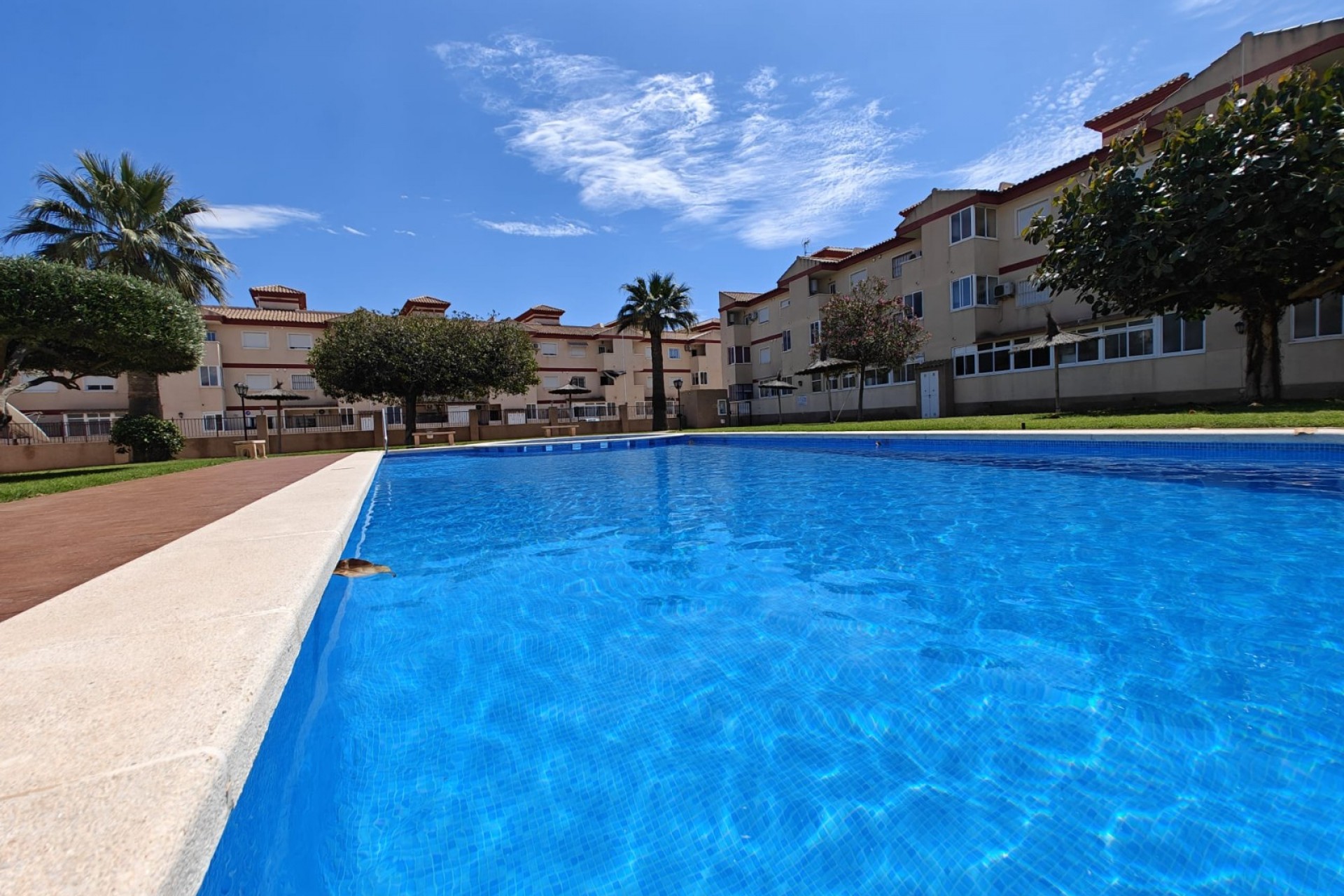 Resale - Apartment -
San Pedro del Pinatar - Costa Calida