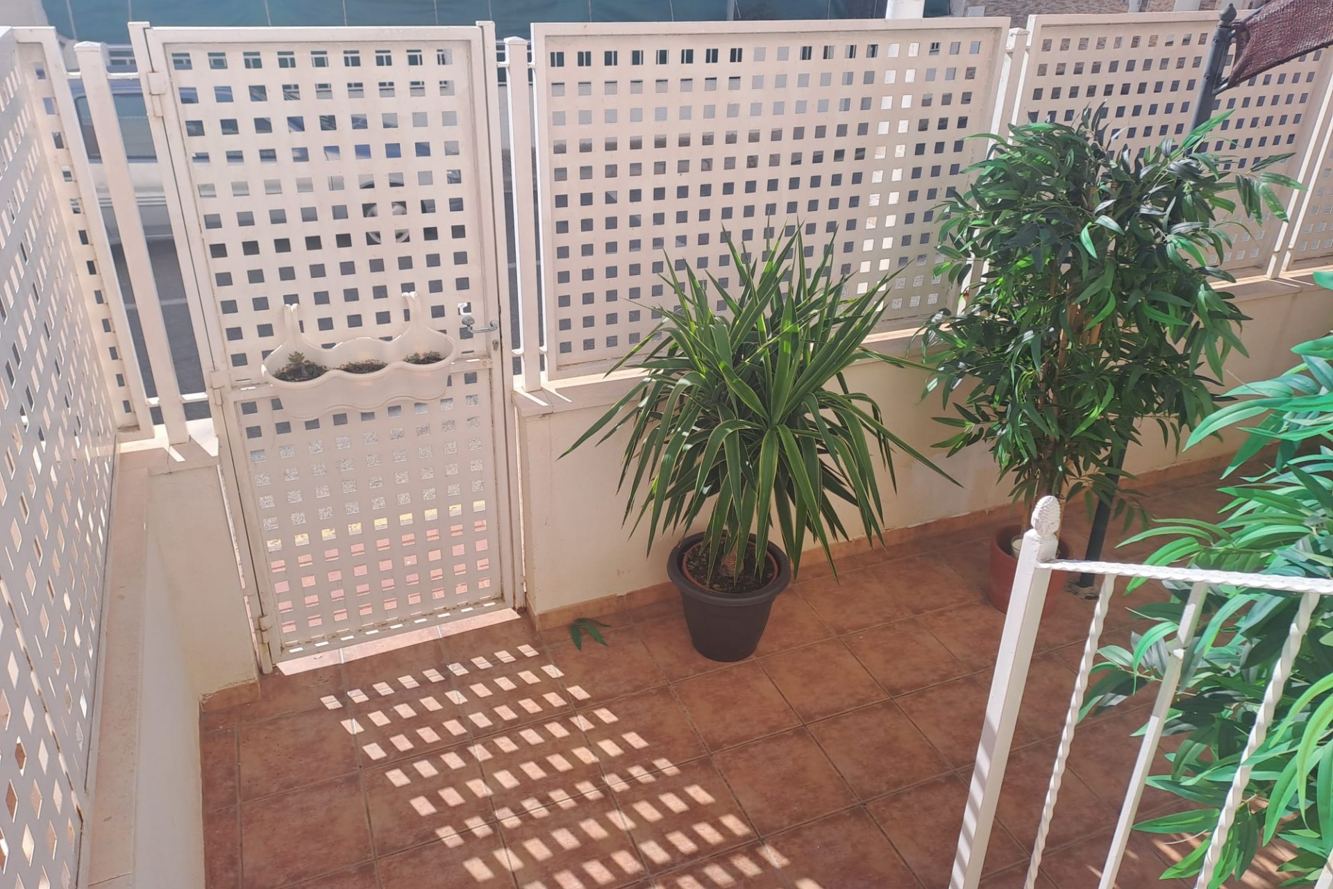 Resale - Apartment -
San Pedro del Pinatar - Costa Calida