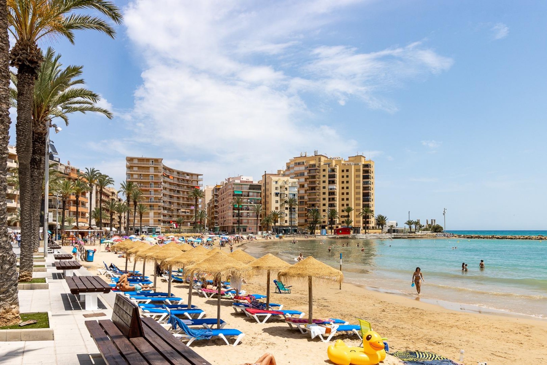 Resale - Apartment -
Torrevieja - Acequion
