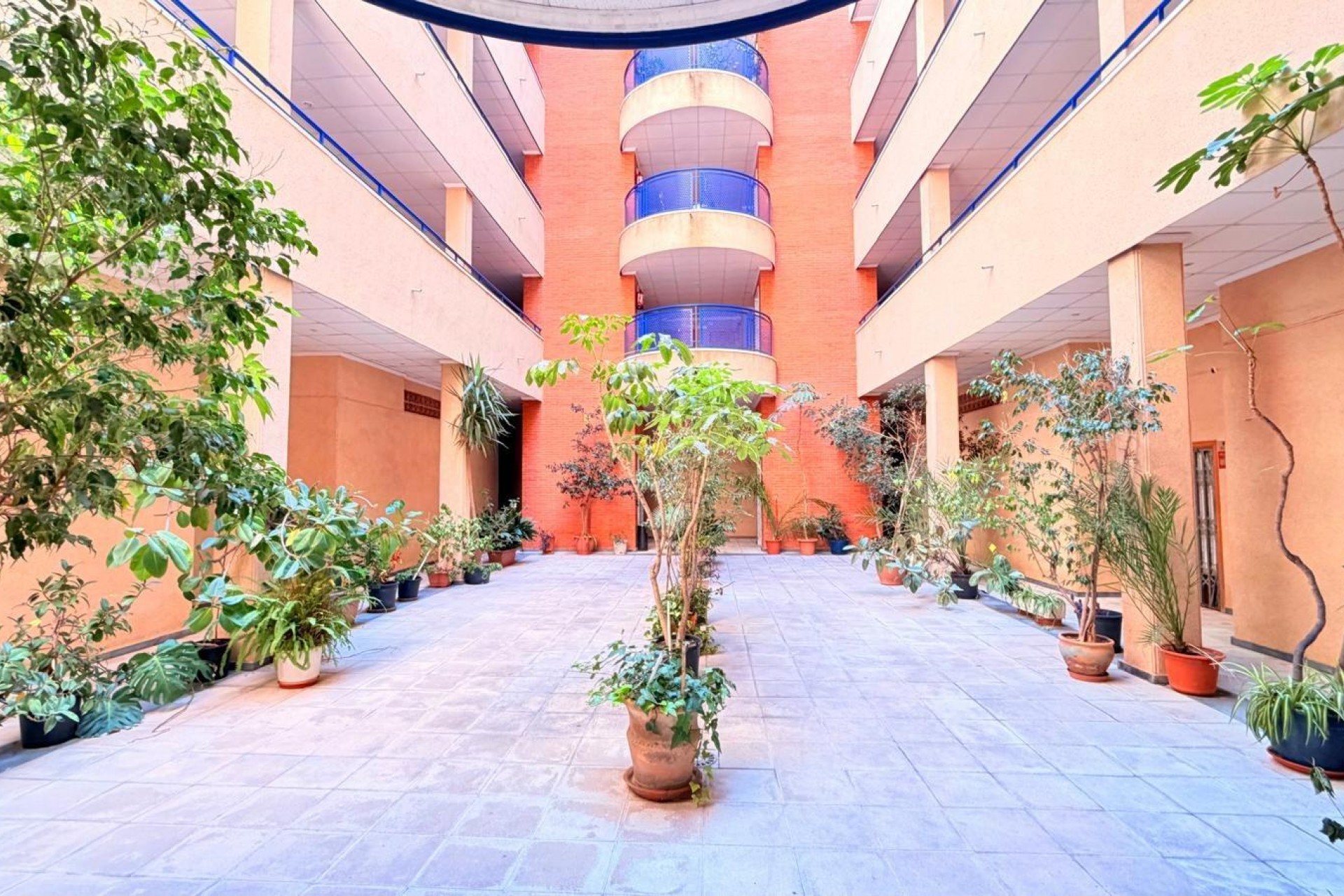 Resale - Apartment -
Torrevieja - Acequion