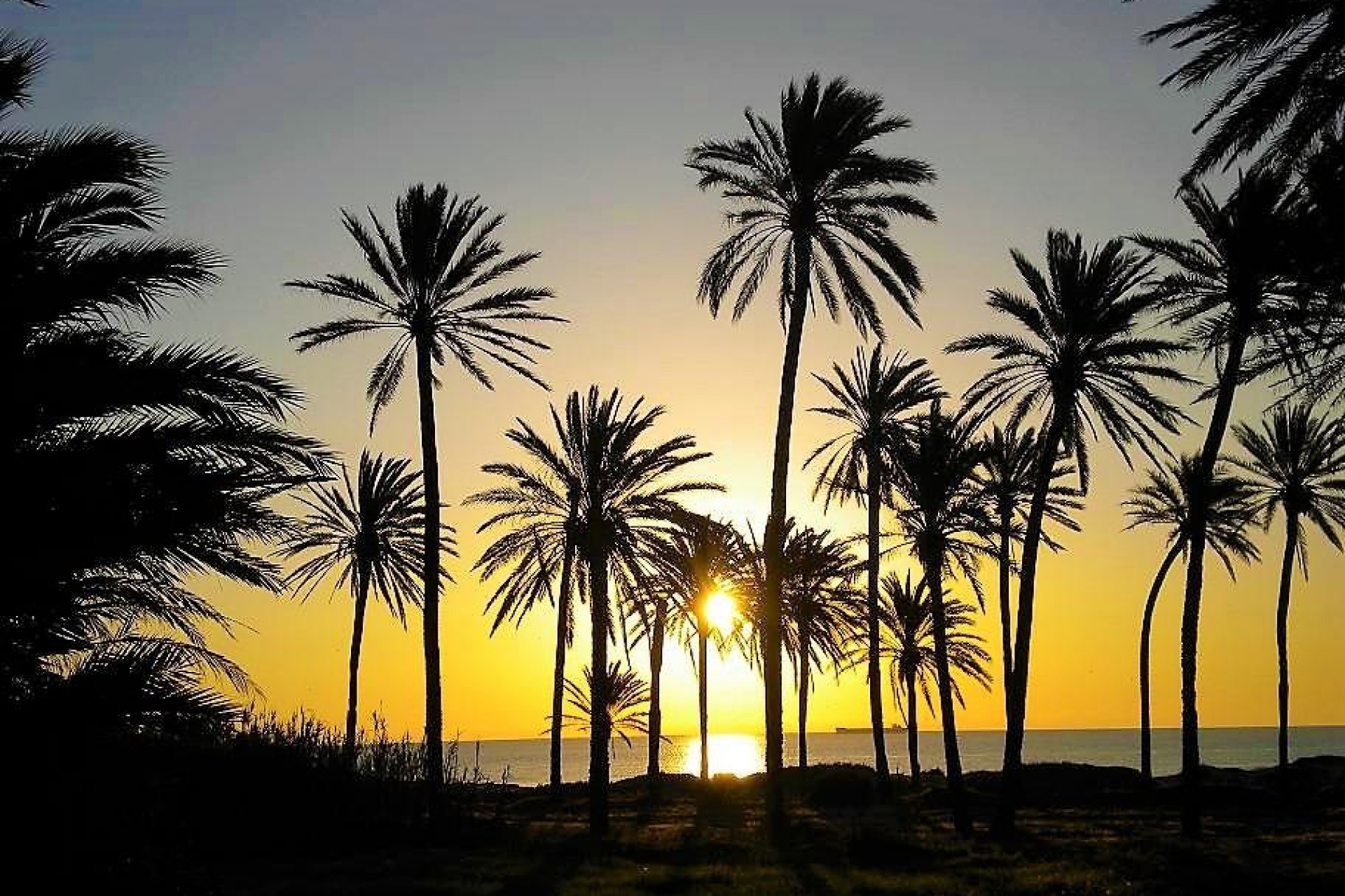 Resale - Apartment -
Torrevieja - Centro