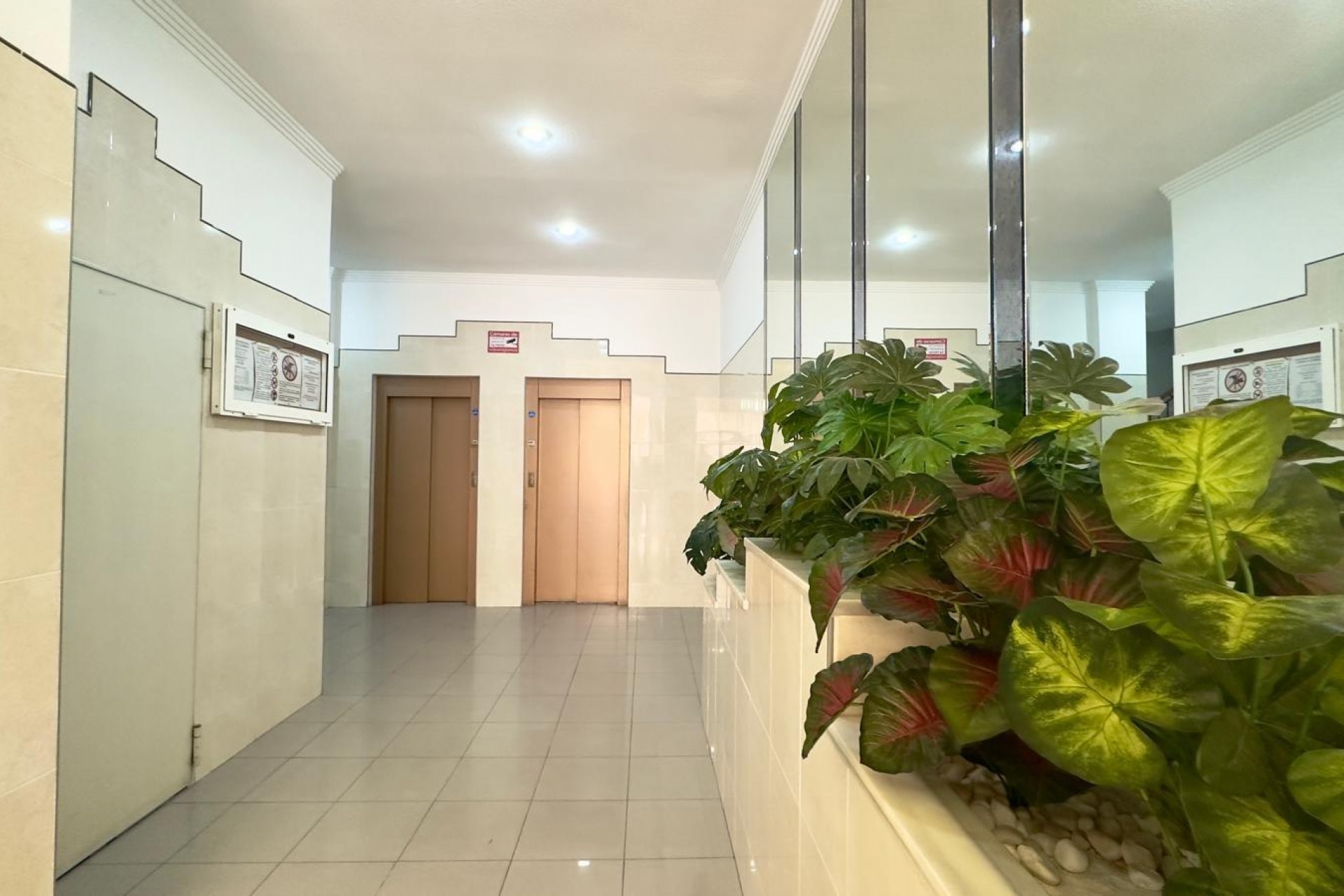 Resale - Apartment -
Torrevieja - Centro