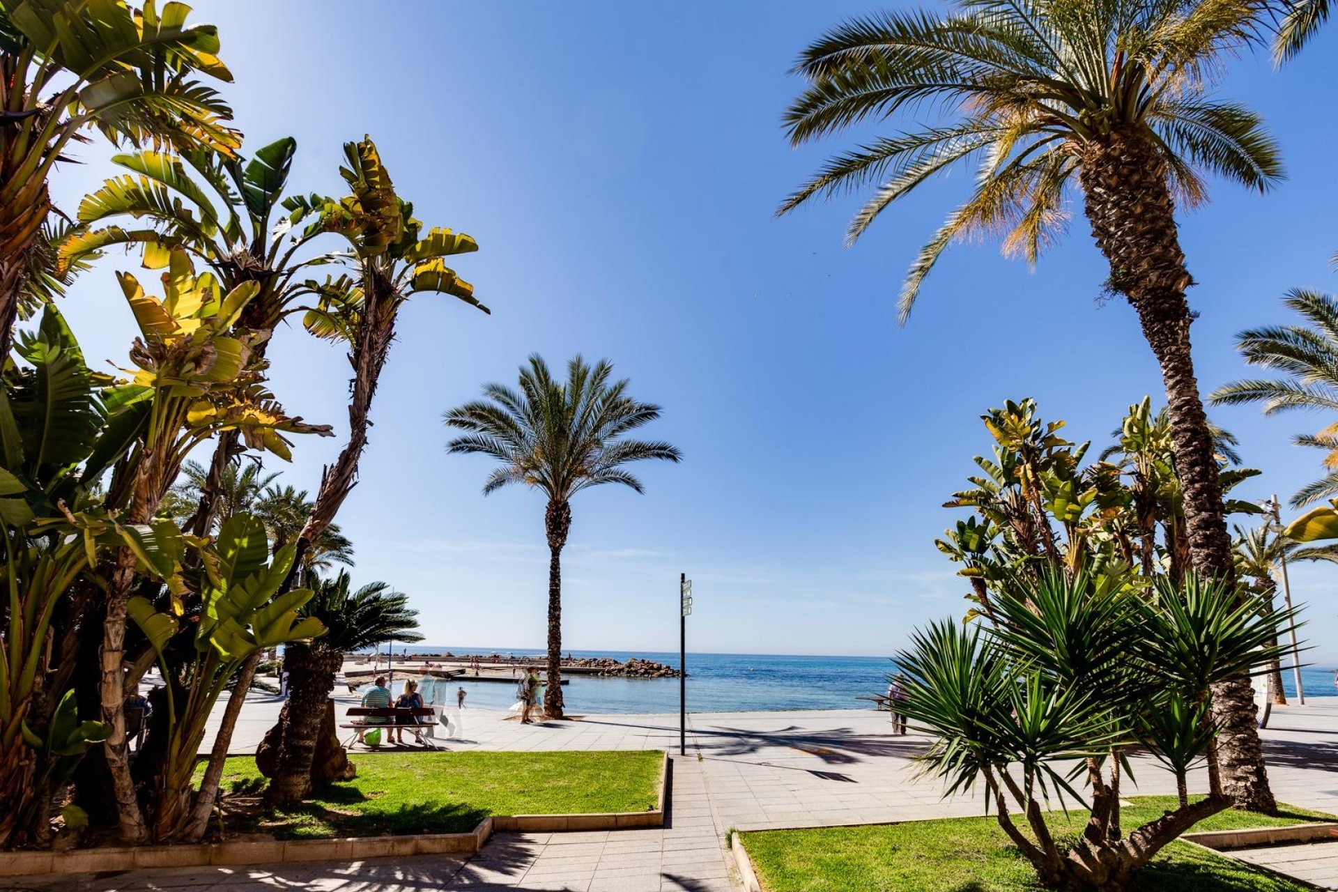 Resale - Apartment -
Torrevieja - Centro