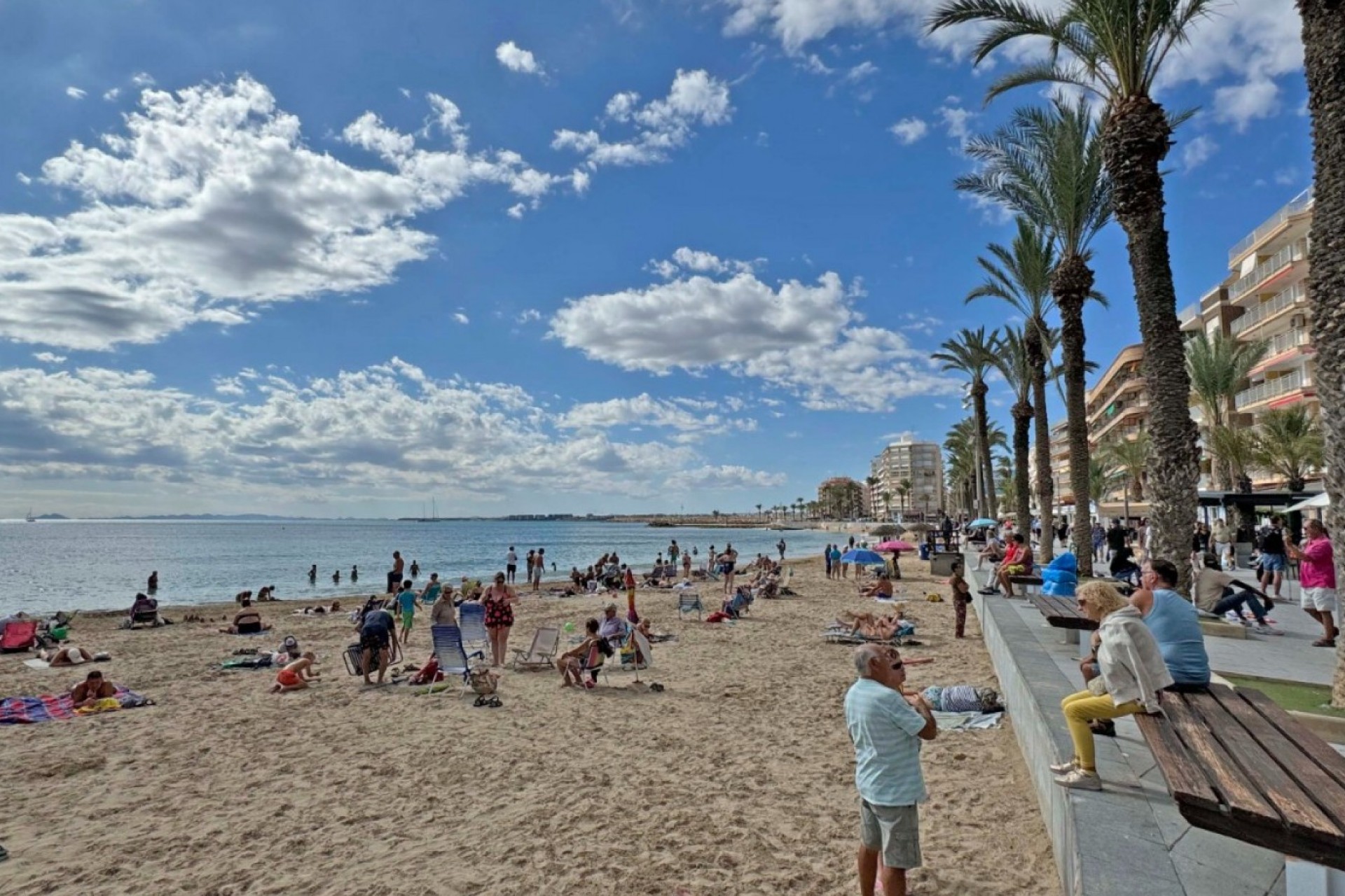 Resale - Apartment -
Torrevieja - Costa Blanca