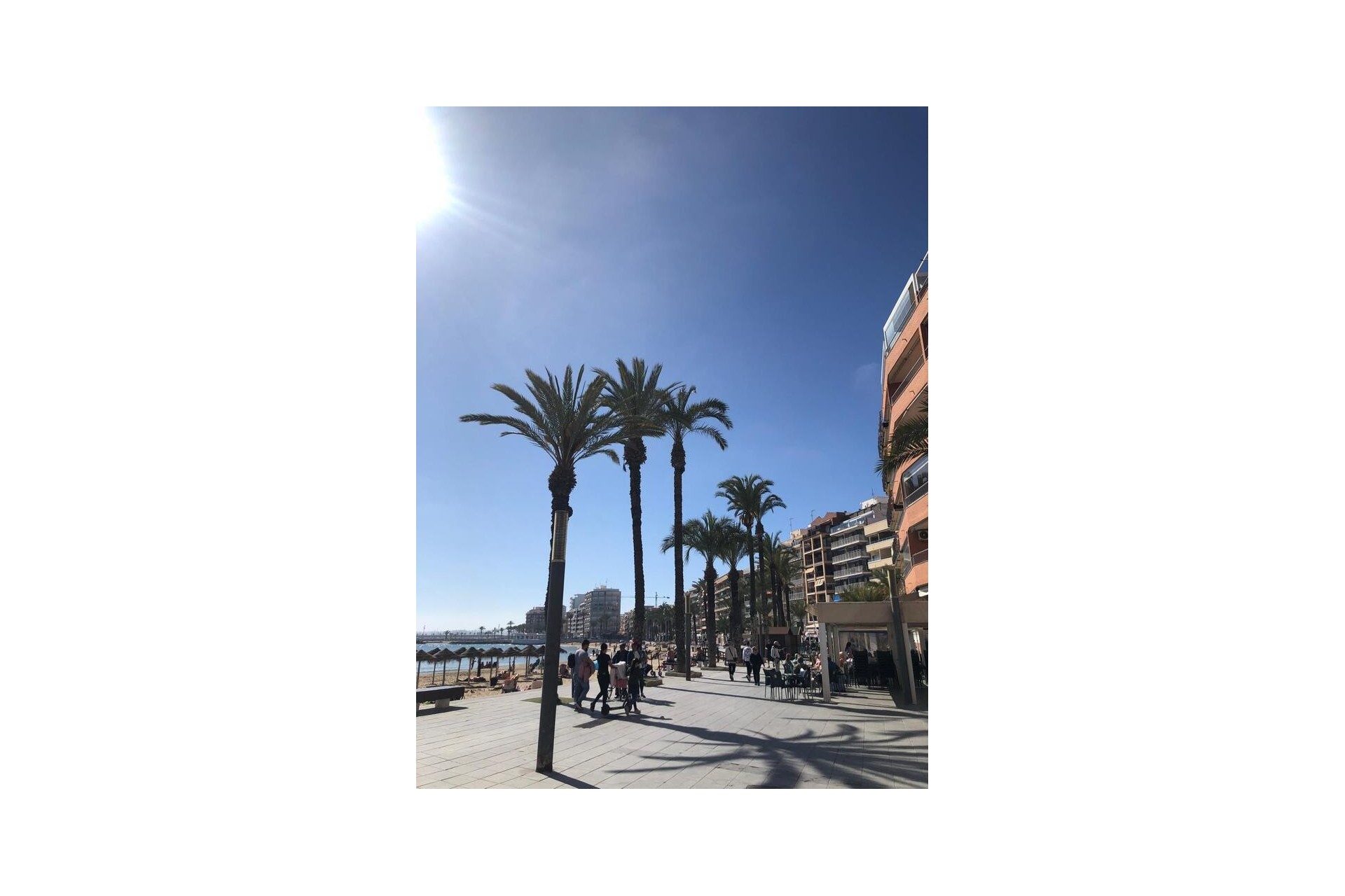 Resale - Apartment -
Torrevieja - Costa Blanca