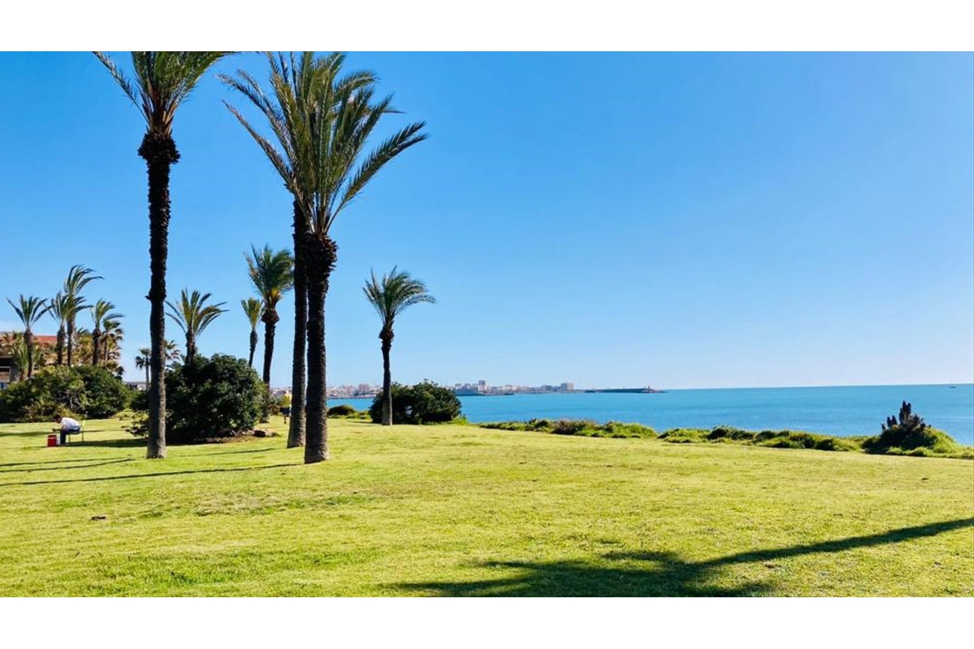 Resale - Apartment -
Torrevieja - Costa Blanca