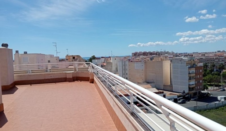 Resale - Apartment -
Torrevieja - Costa Blanca