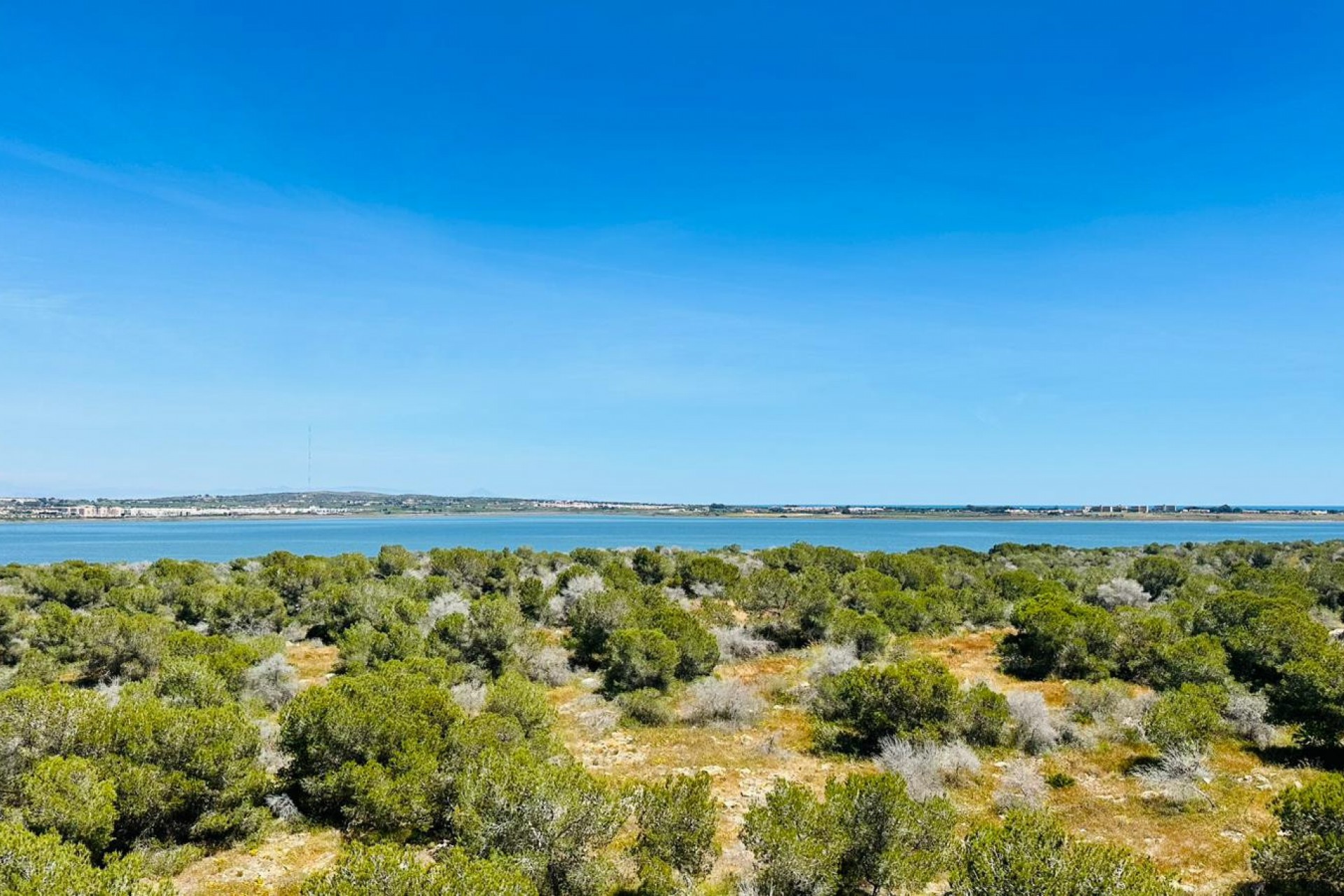 Resale - Apartment -
Torrevieja - Costa Blanca