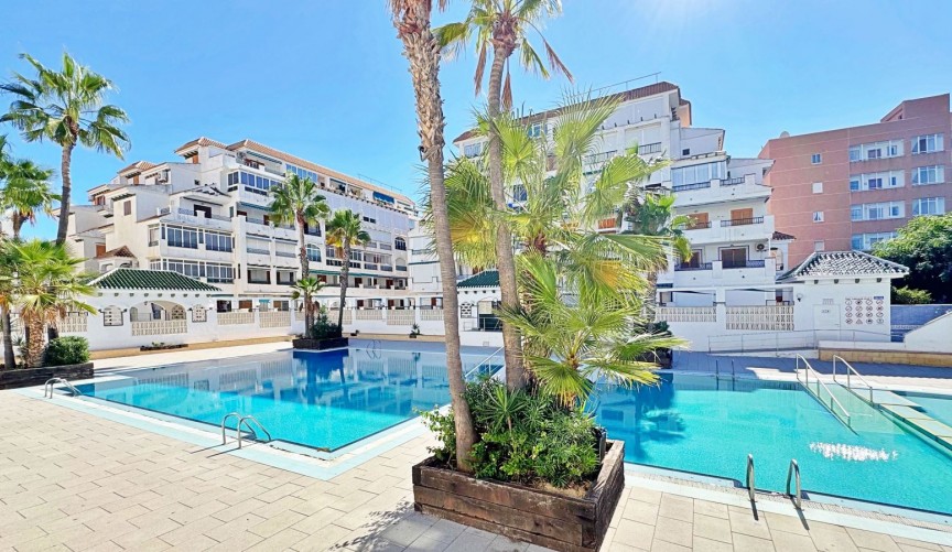 Resale - Apartment -
Torrevieja - Costa Blanca
