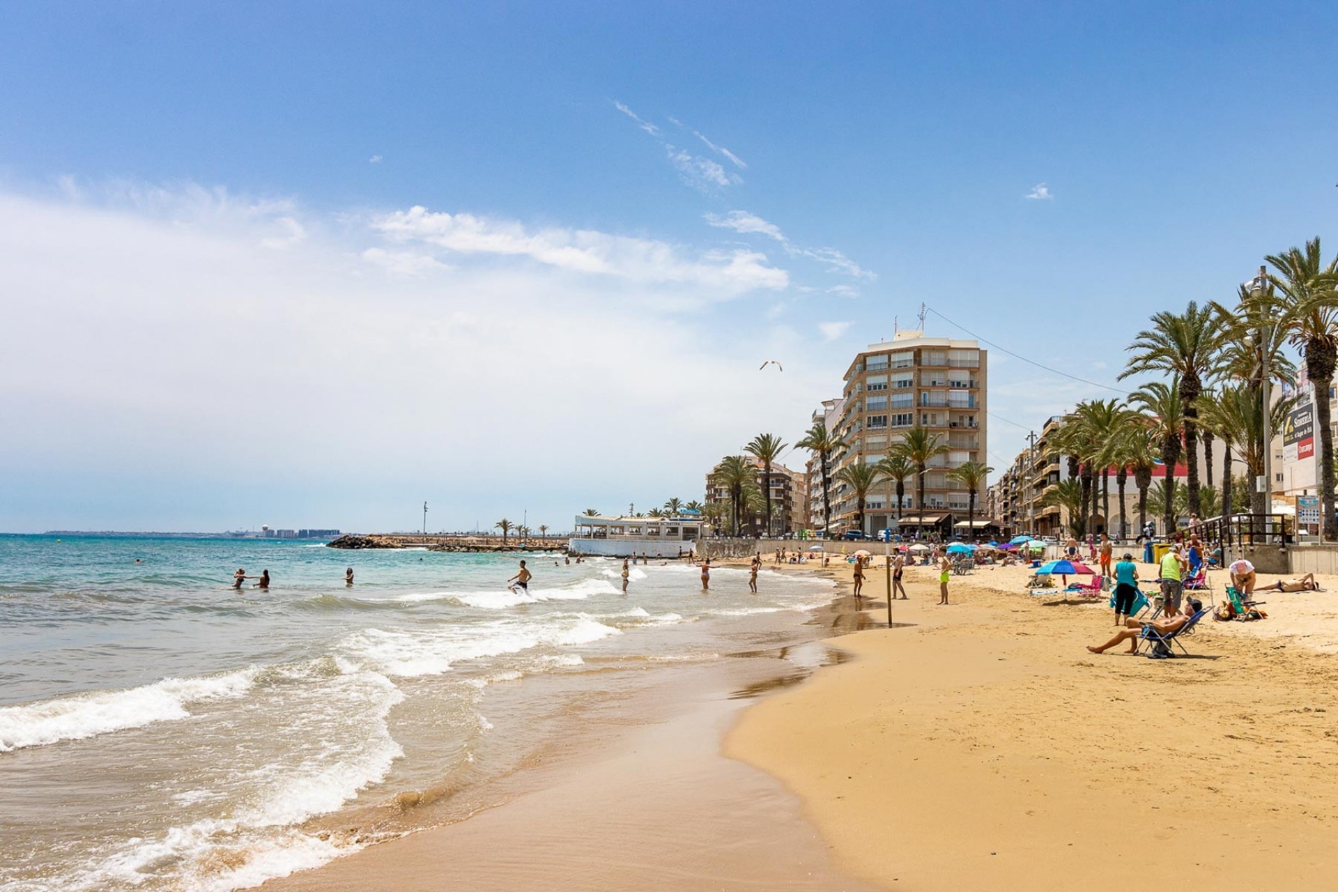 Resale - Apartment -
Torrevieja - Costa Blanca