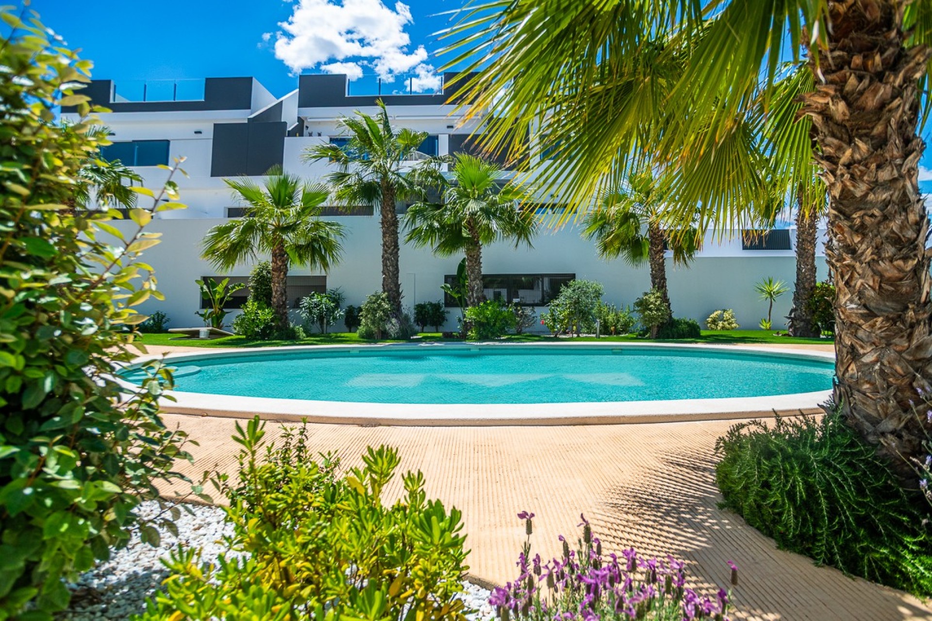 Resale - Apartment -
Torrevieja - Costa Blanca