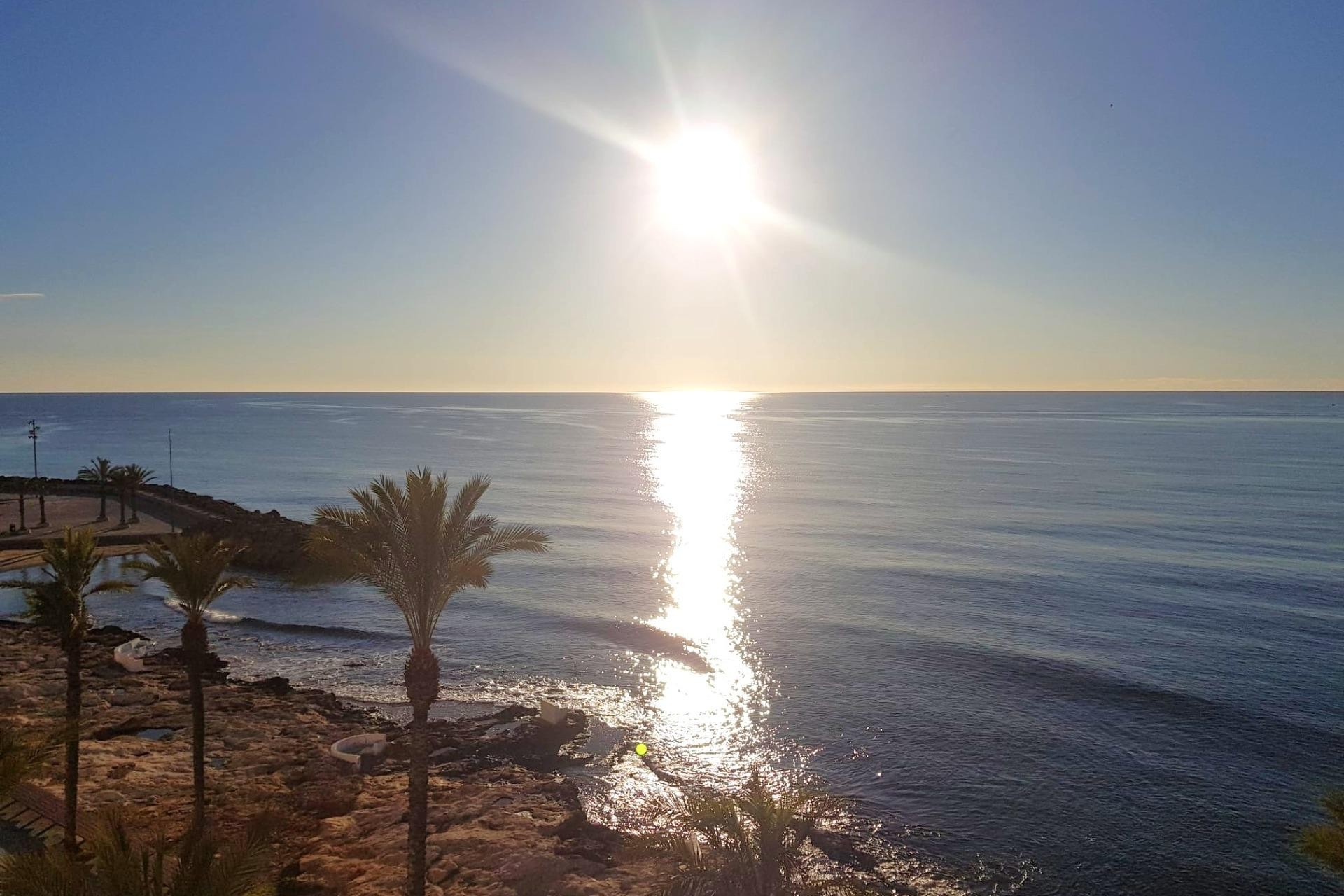 Resale - Apartment -
Torrevieja - Estacion De Autobuses