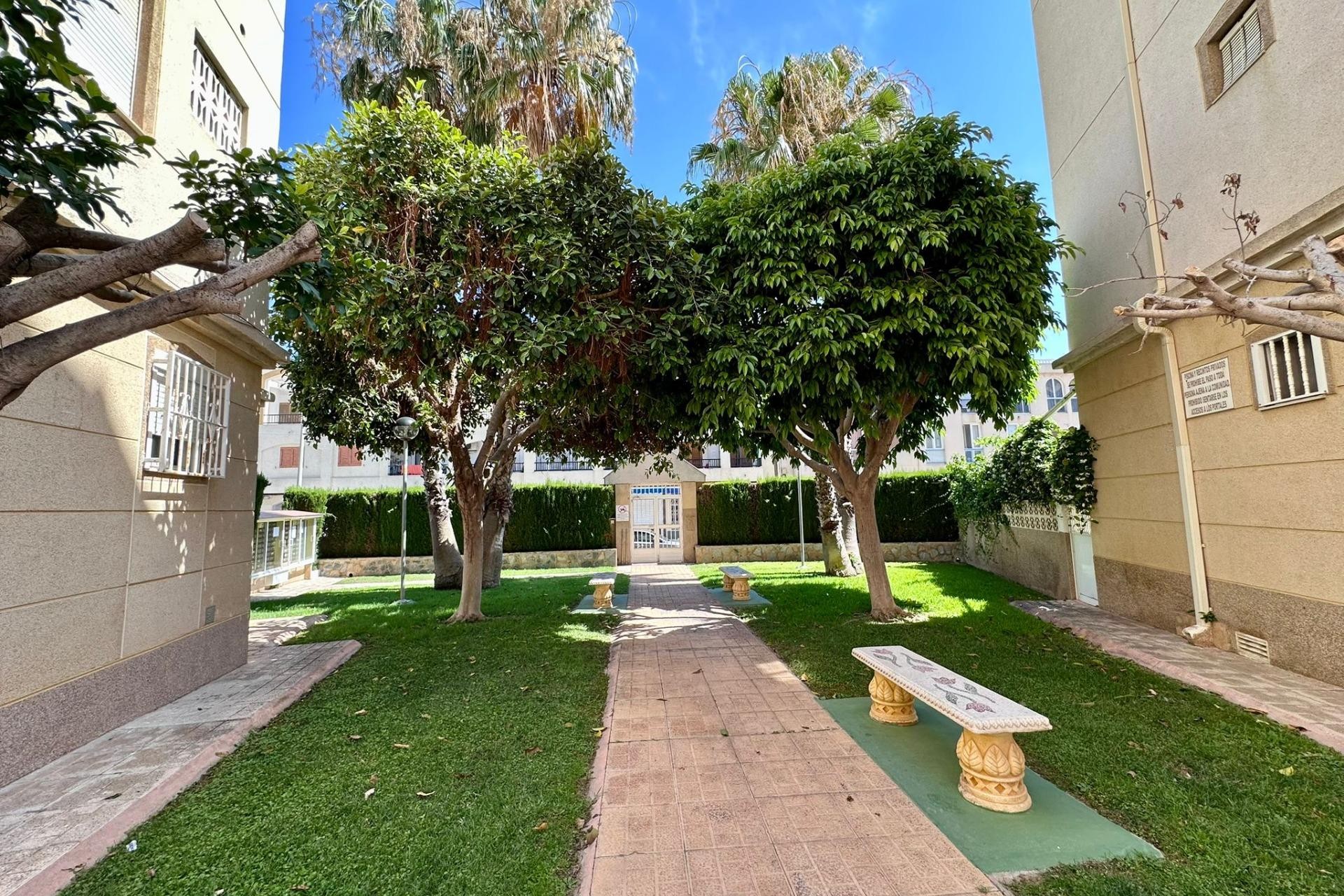 Resale - Apartment -
Torrevieja - Habaneras