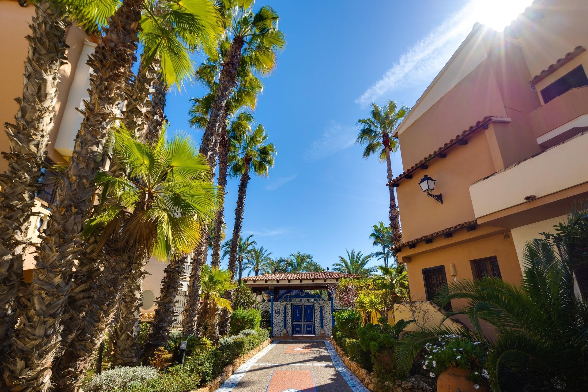 Resale - Apartment -
Torrevieja - Playa de los Locos