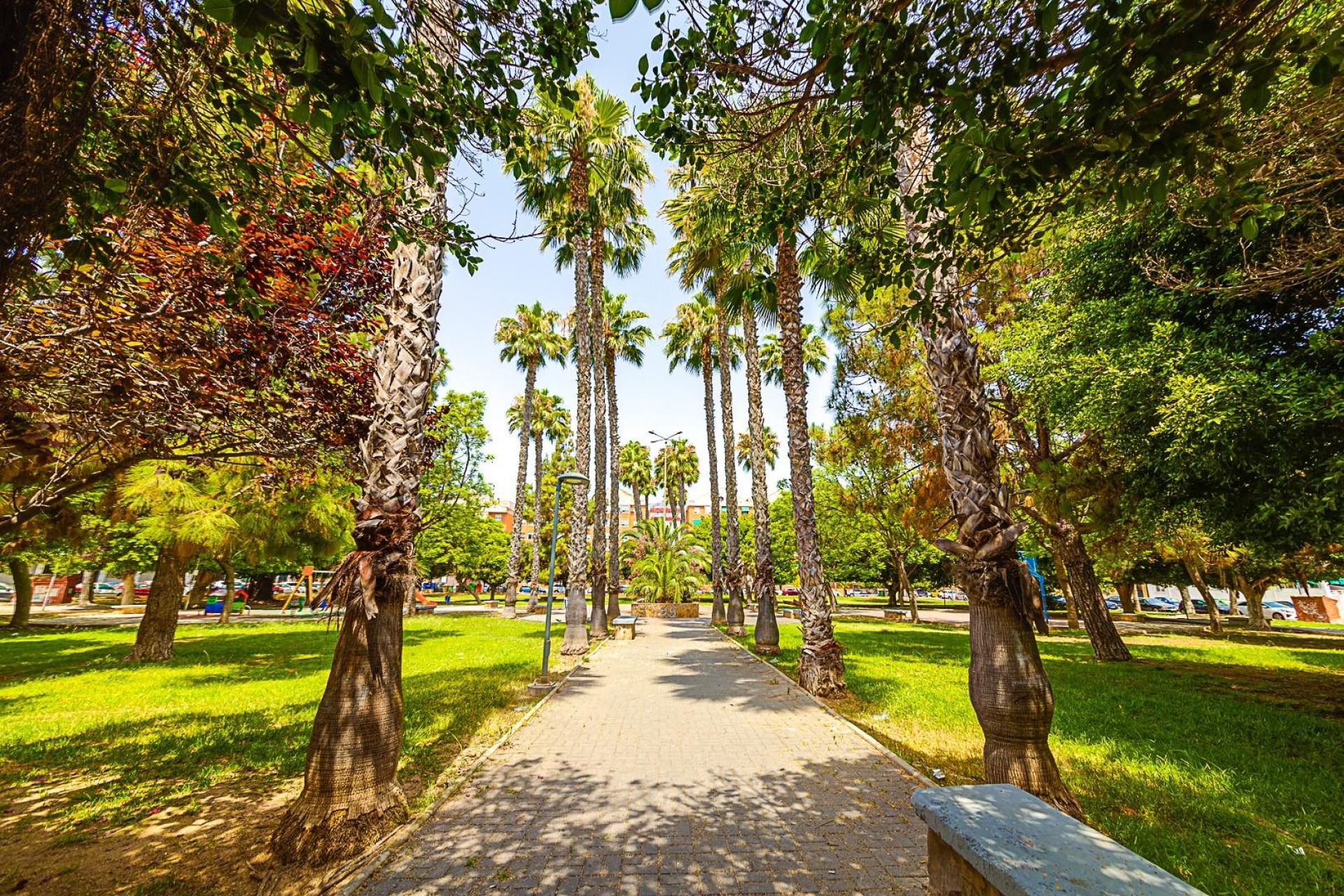 Resale - Apartment -
Torrevieja - Playa De Los Naufragos