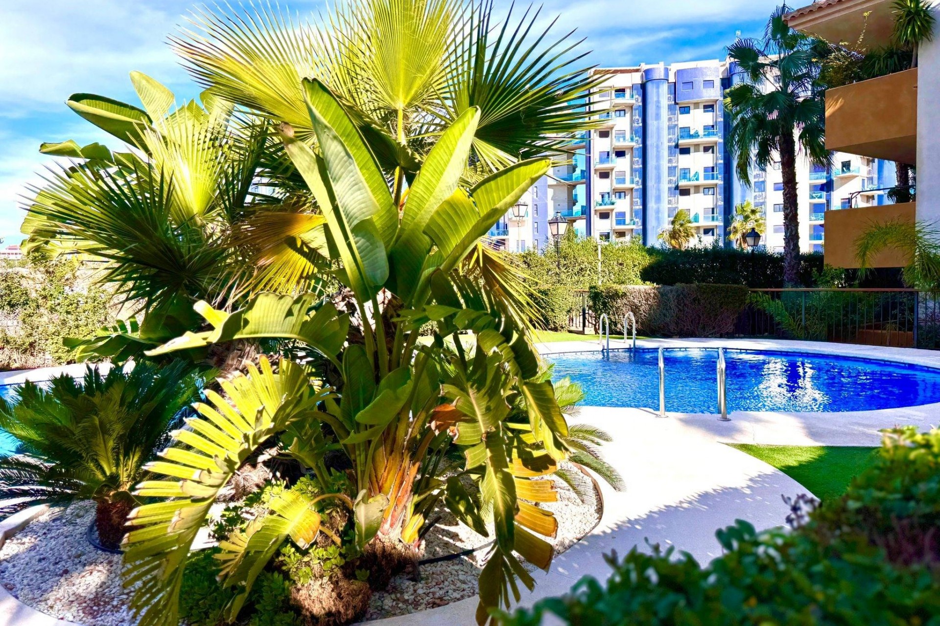 Resale - Apartment -
Torrevieja - Punta Prima