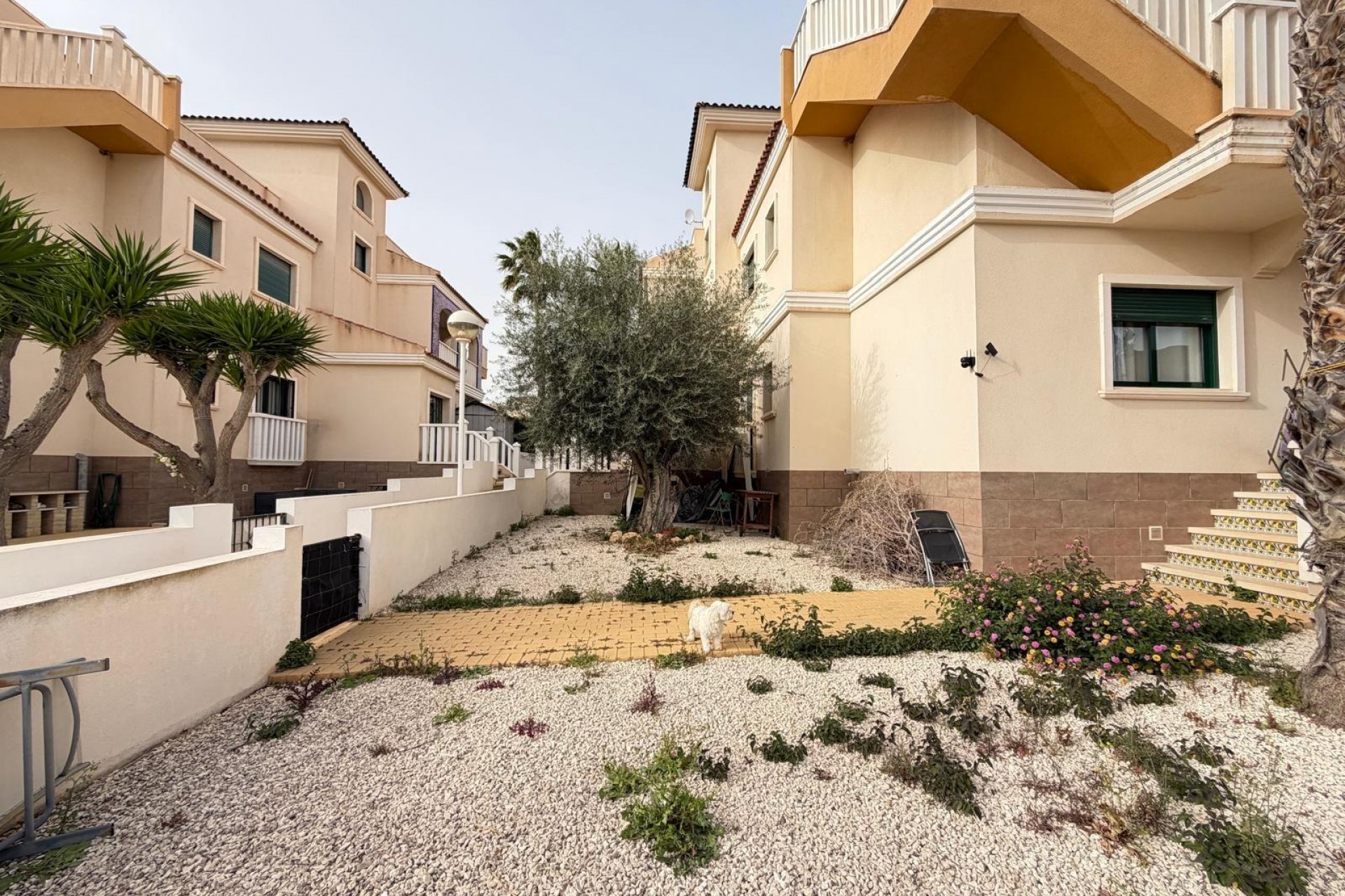 Resale - Bungalow -
Rojales - Doña Pepa