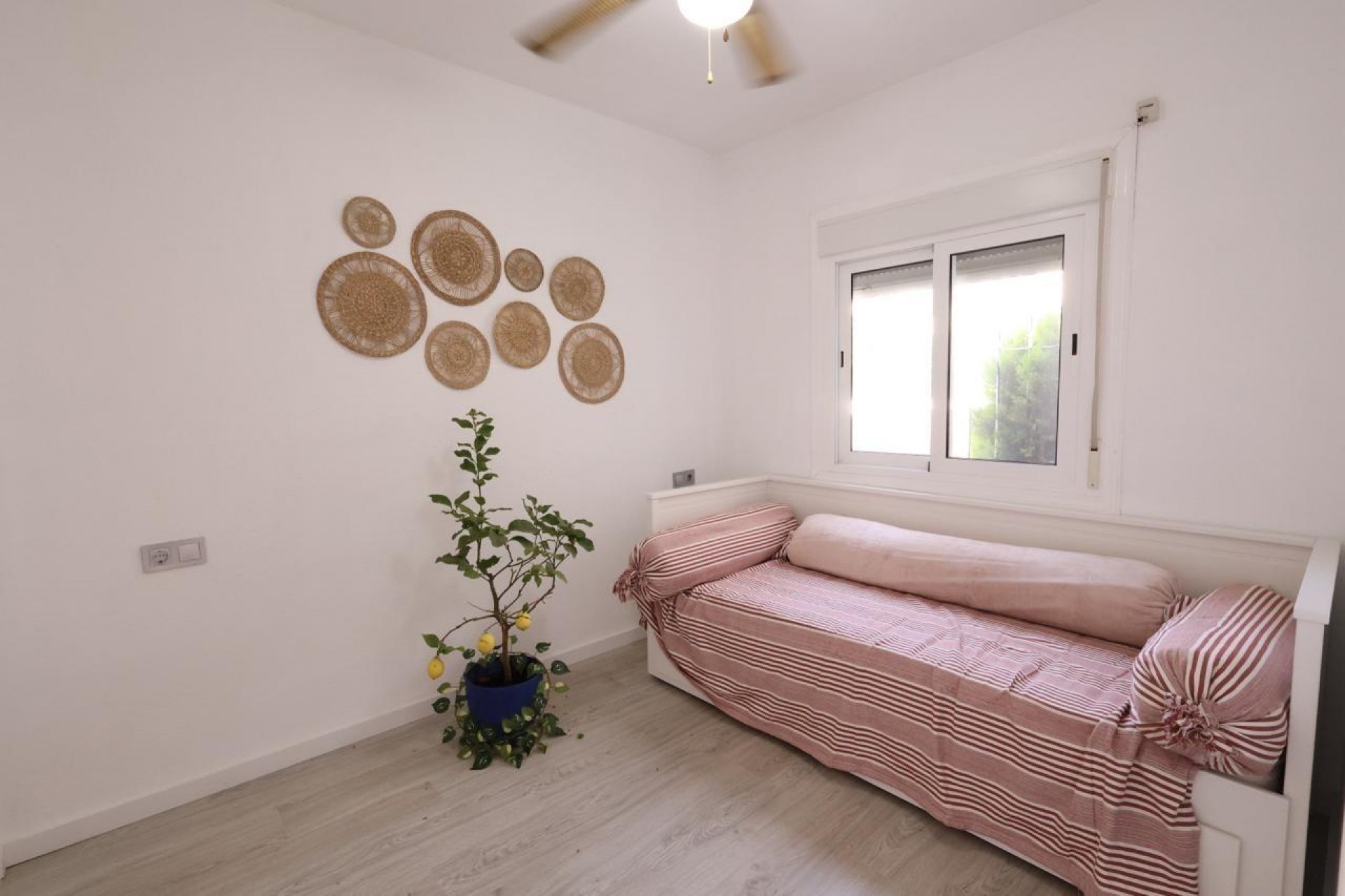Resale - Bungalow -
Torrevieja - Costa Blanca
