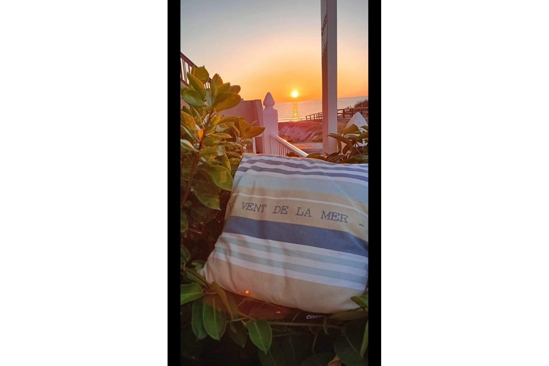 Resale - Bungalow -
Torrevieja - La Mata