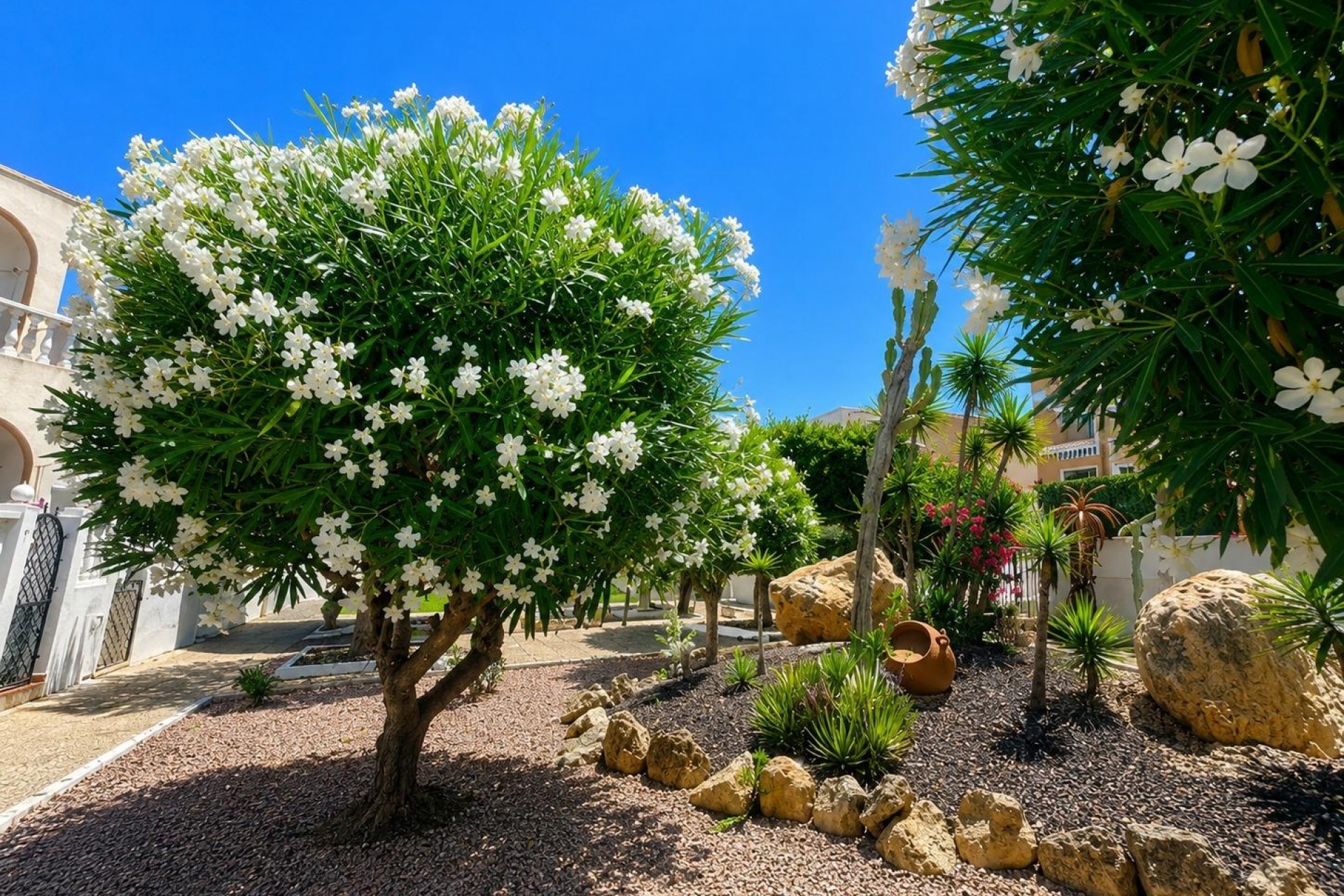 Resale - Bungalow -
Torrevieja - La Mata