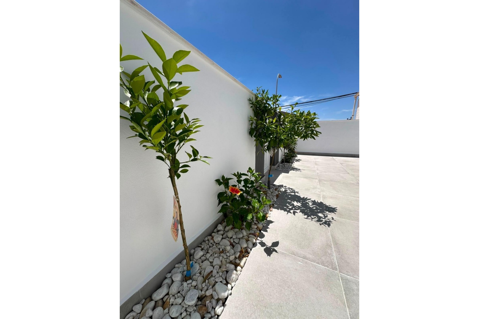 Resale - Bungalow -
Torrevieja - La Siesta - El Salado - Torreta
