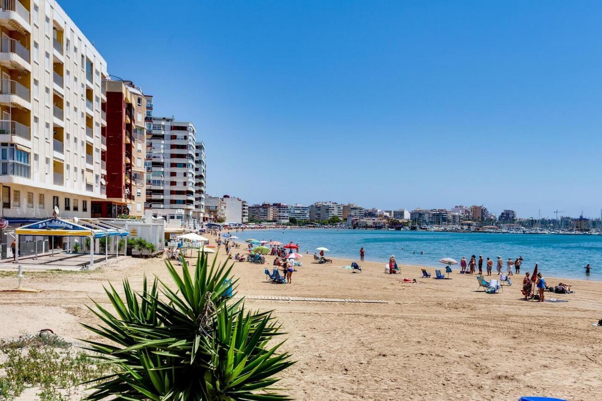 Resale - Bungalow -
Torrevieja - PARQUE DE LAS NACIONES