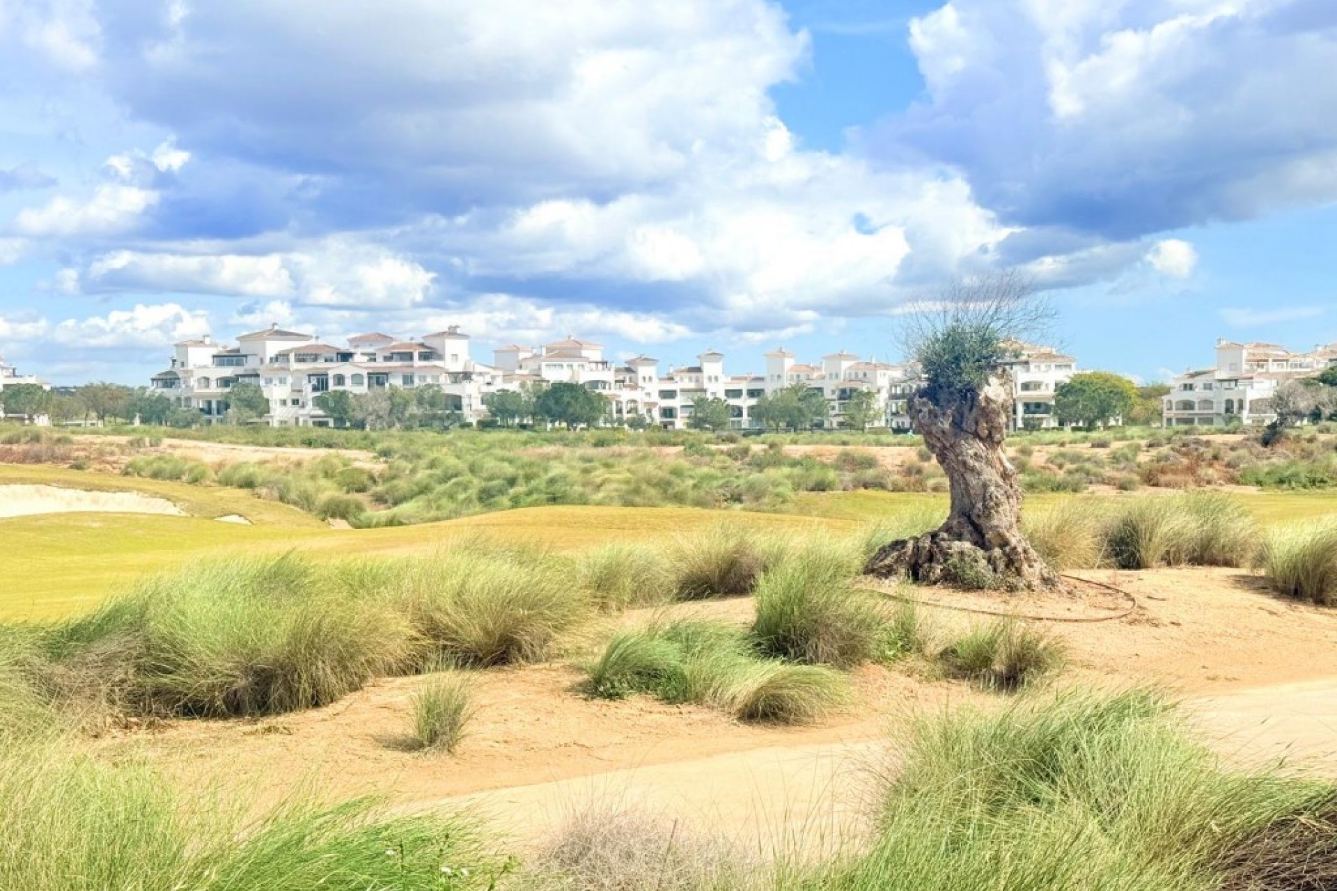Resale - Duplex -
Hacienda Riquelme Golf Resort - Inland
