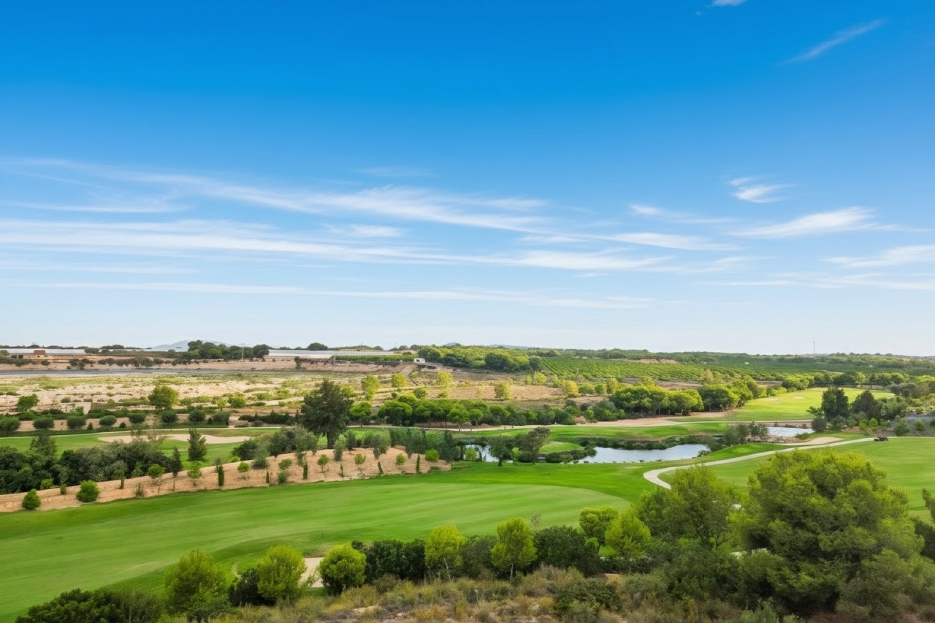 Resale - Penthouse -
Pilar de la Horadada - Costa Blanca
