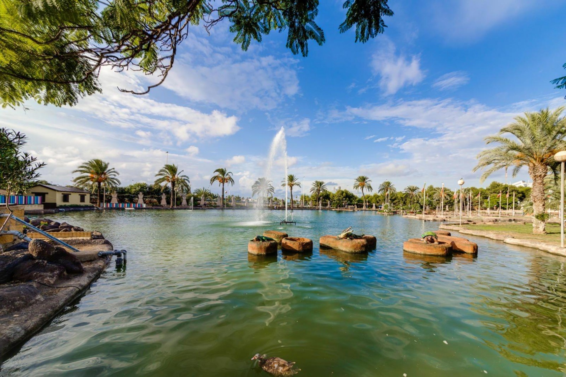 Resale - Penthouse -
Torrevieja - Centro