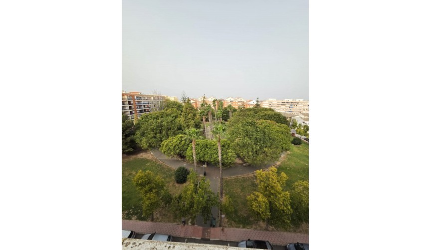 Resale - Penthouse -
Torrevieja - Costa Blanca