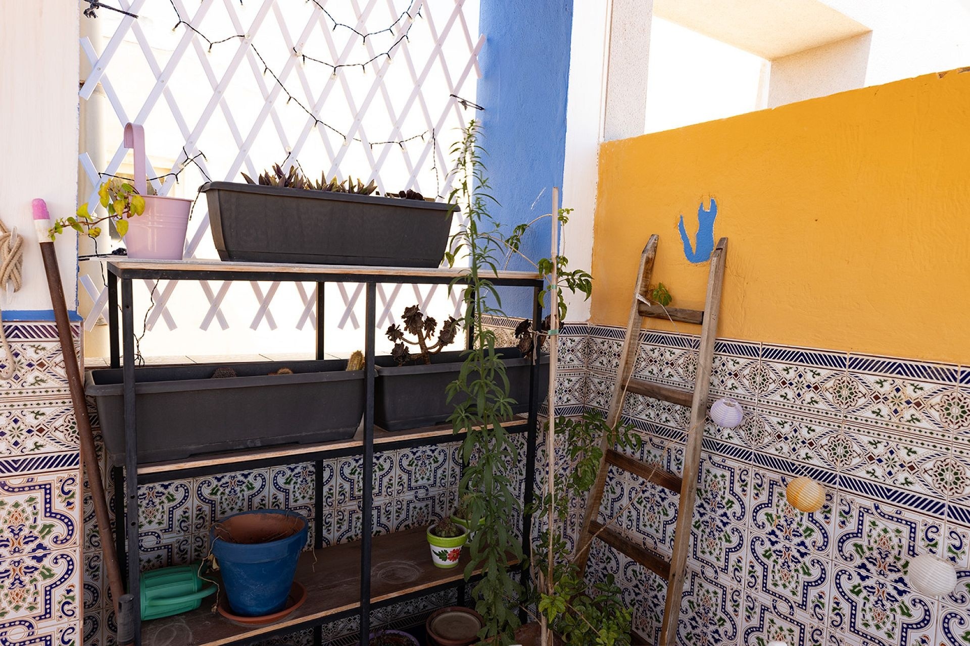 Resale - Penthouse -
Torrevieja - Costa Blanca
