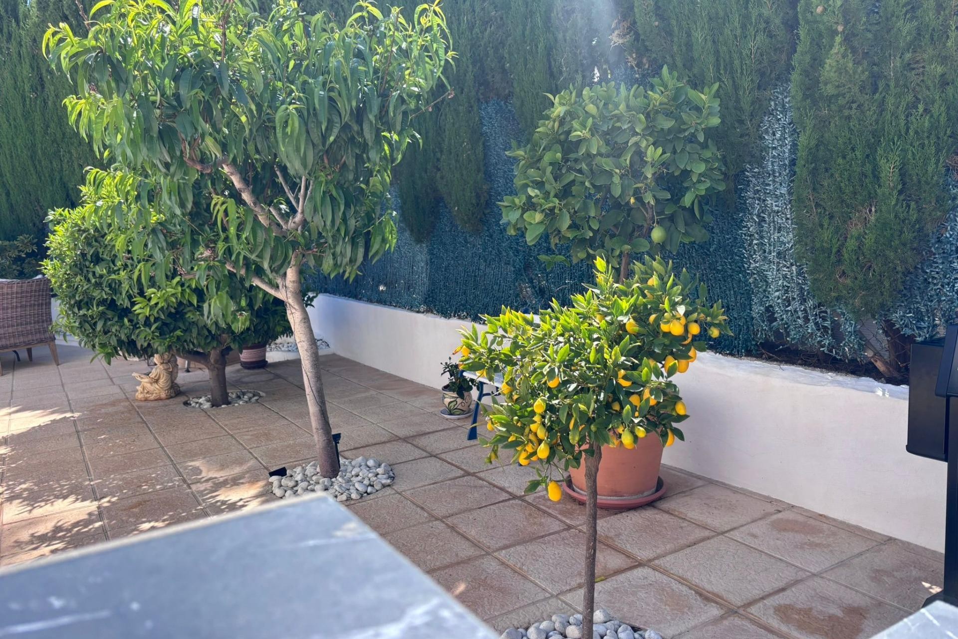 Resale - Semi Detached -
Torrevieja - Los Balcones
