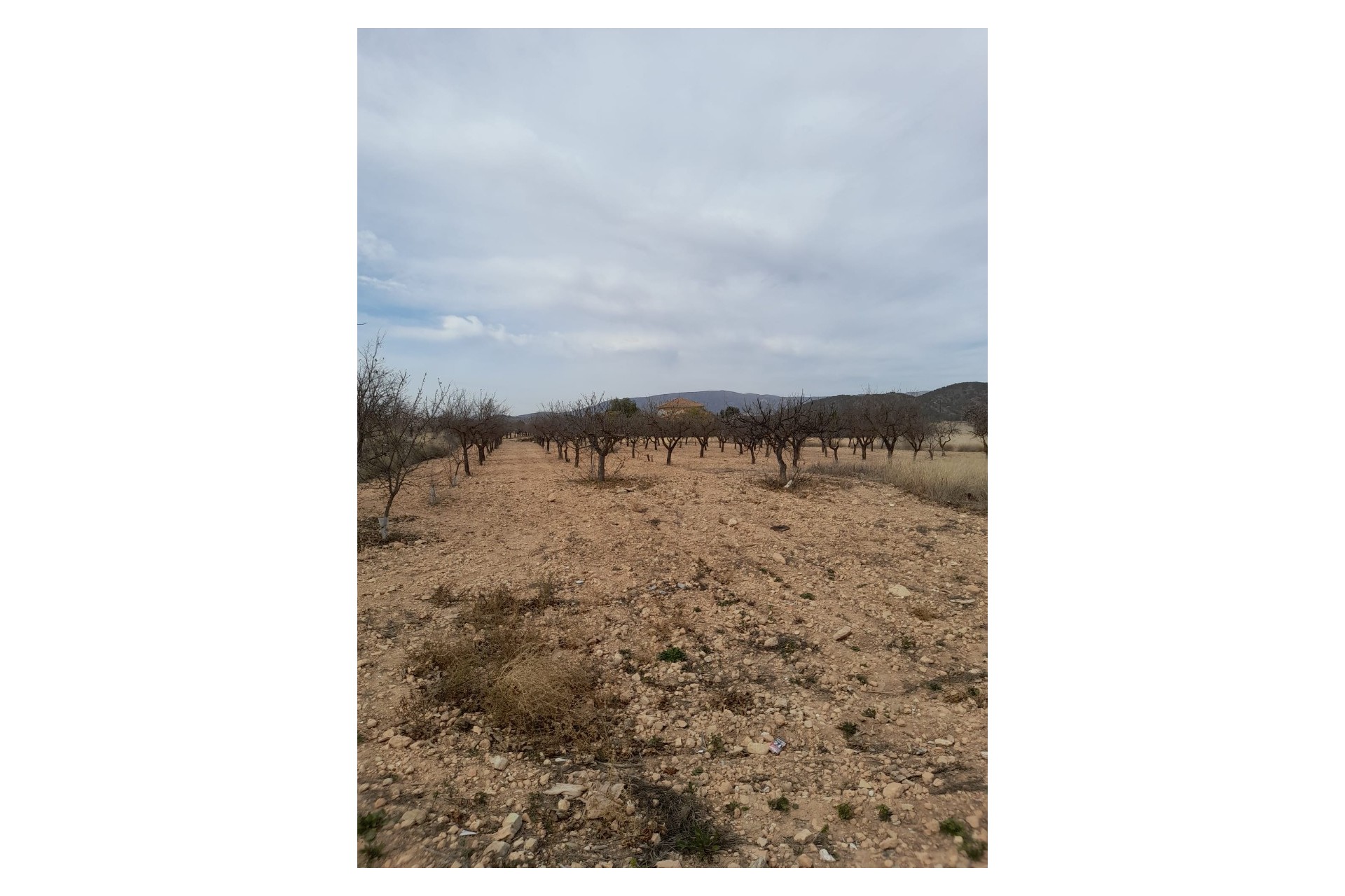 Resale - Town House -
Casas Del Señor - Inland