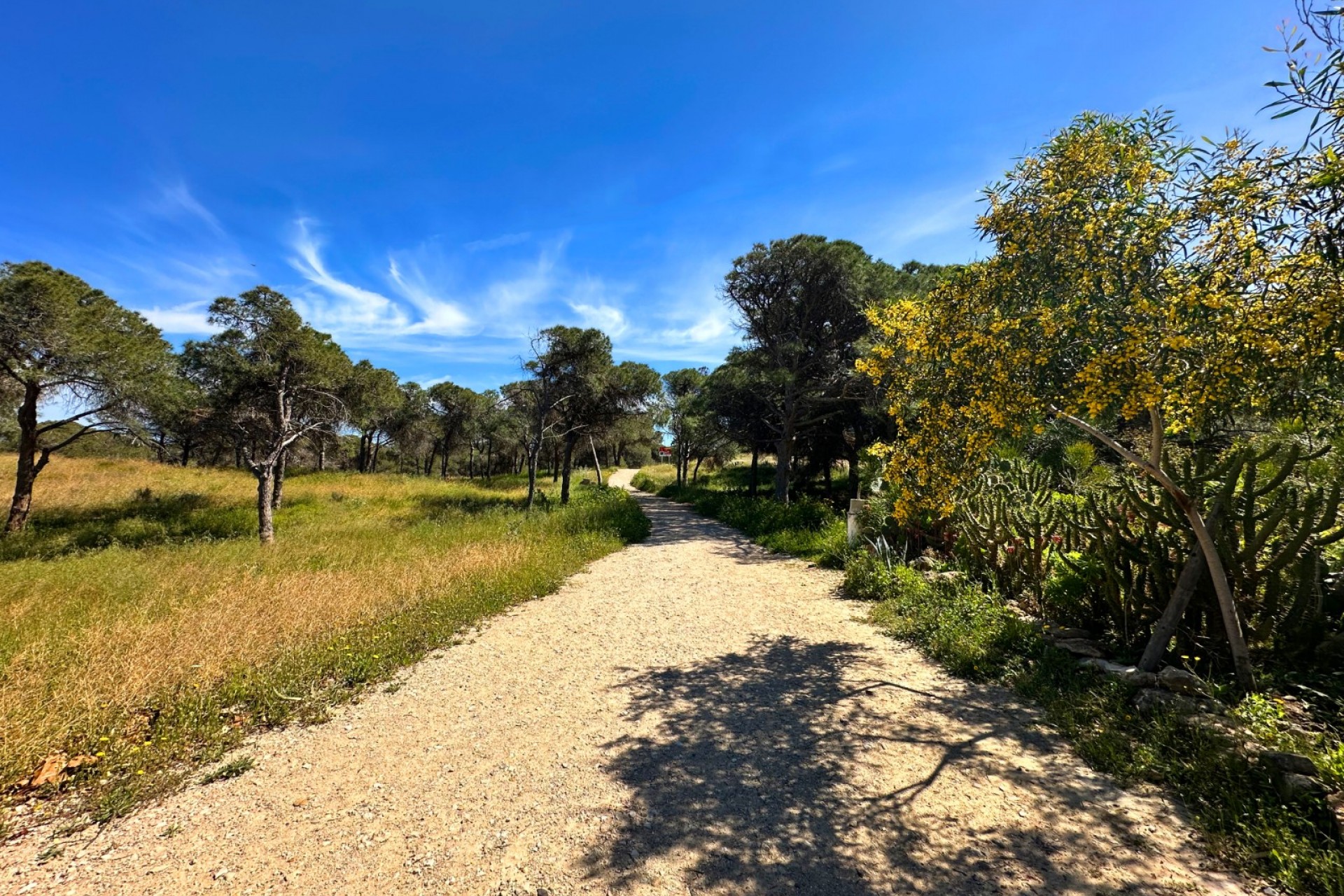 Resale - Town House -
Guardamar del Segura - Costa Blanca