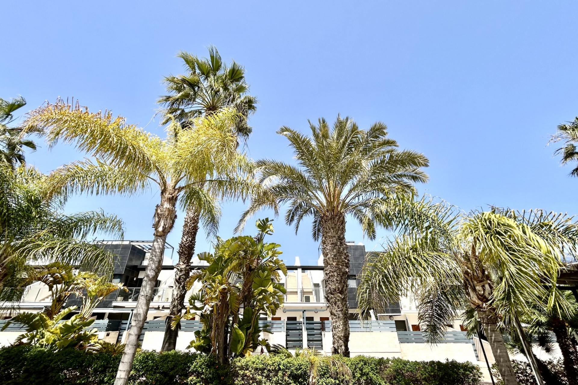 Resale - Town House -
Los Dolses - Inland