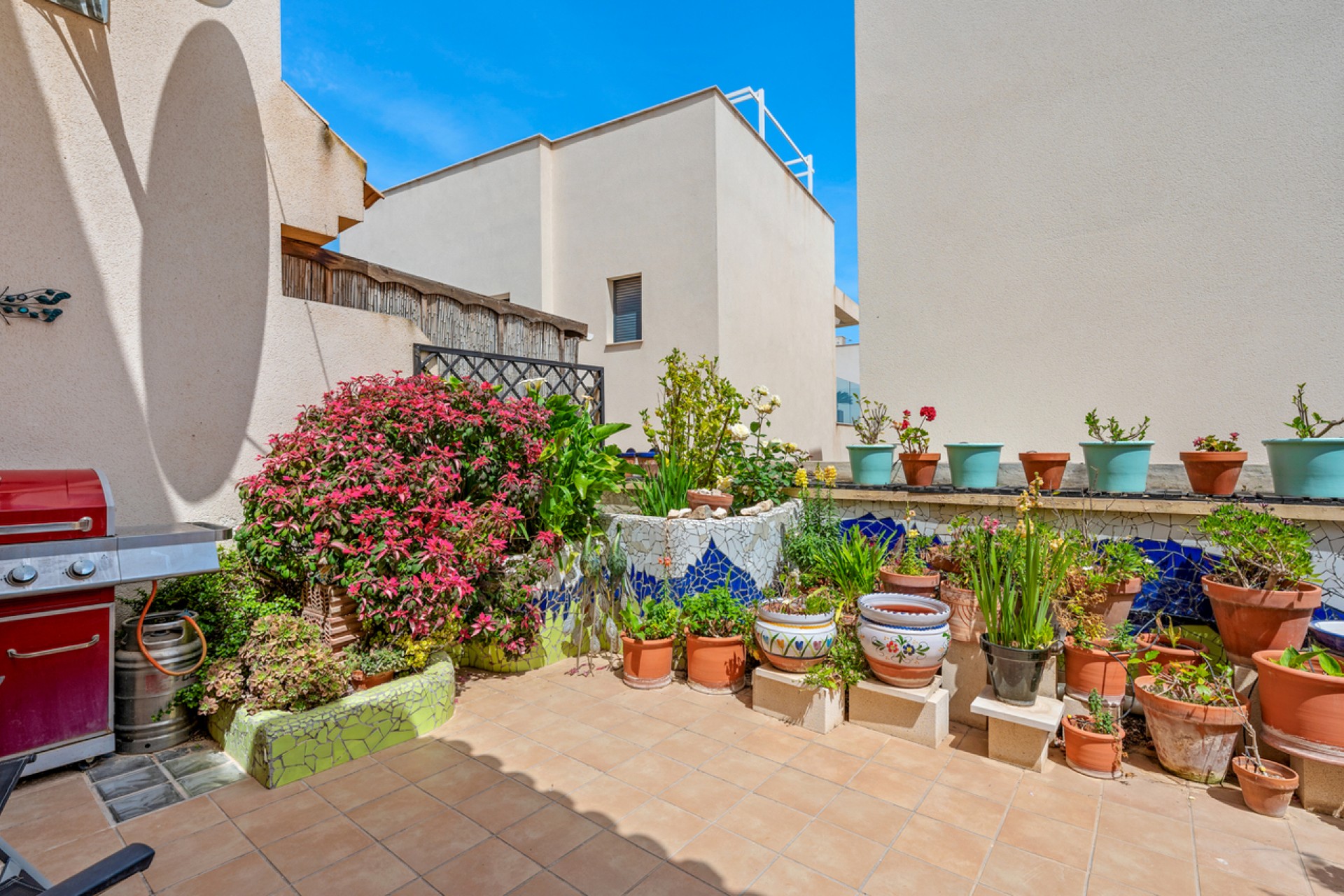 Resale - Town House -
San Miguel de Salinas - Inland