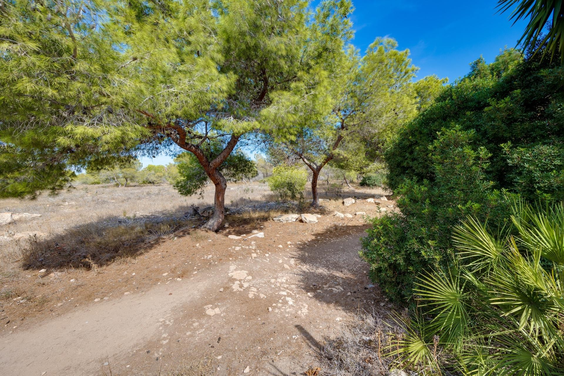 Resale - Town House -
Torrevieja - La Siesta - El Salado - Torreta