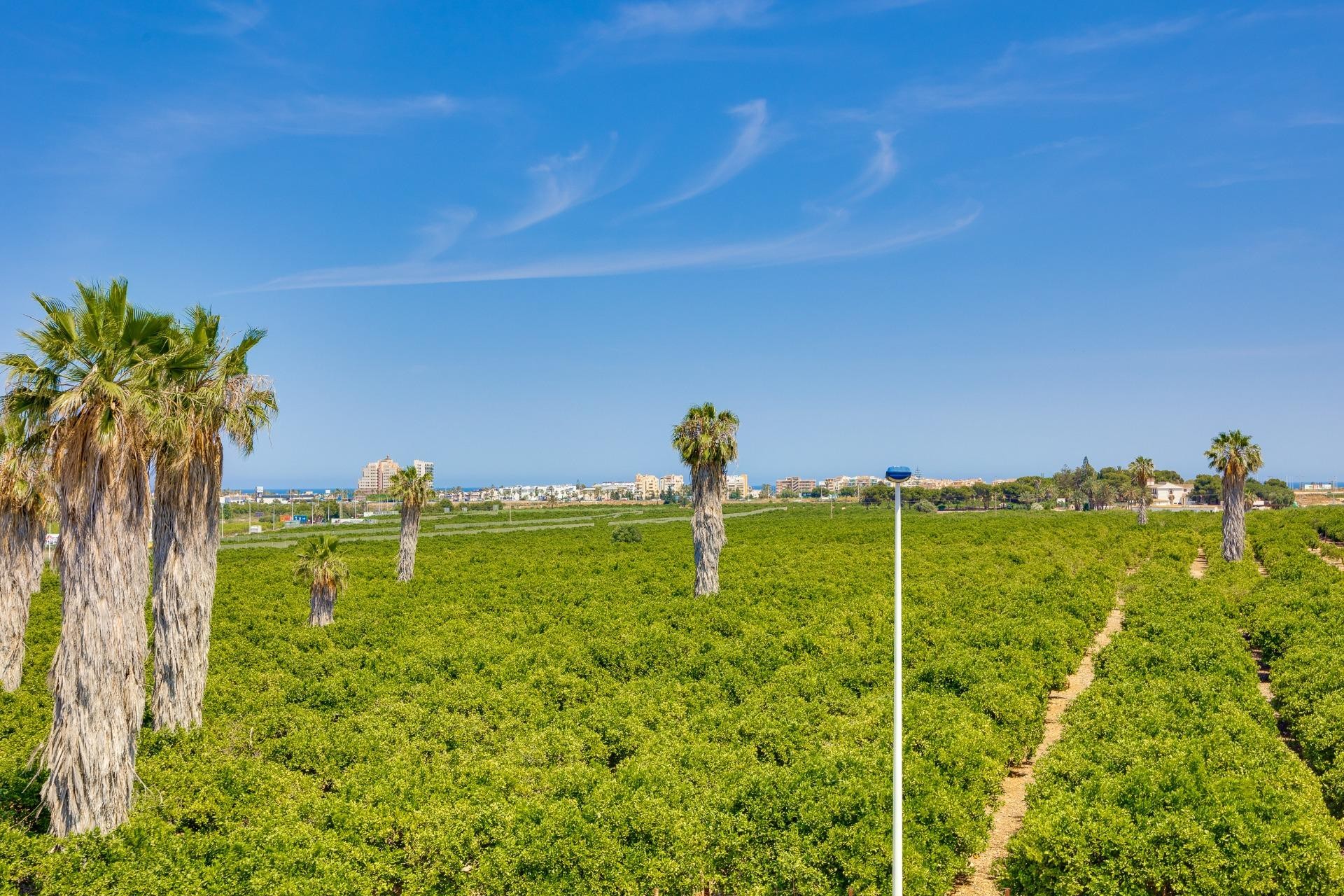 Resale - Town House -
Torrevieja - Los Balcones