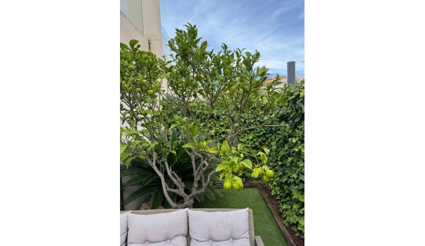 Resale - Town House -
Torrevieja - Punta Prima