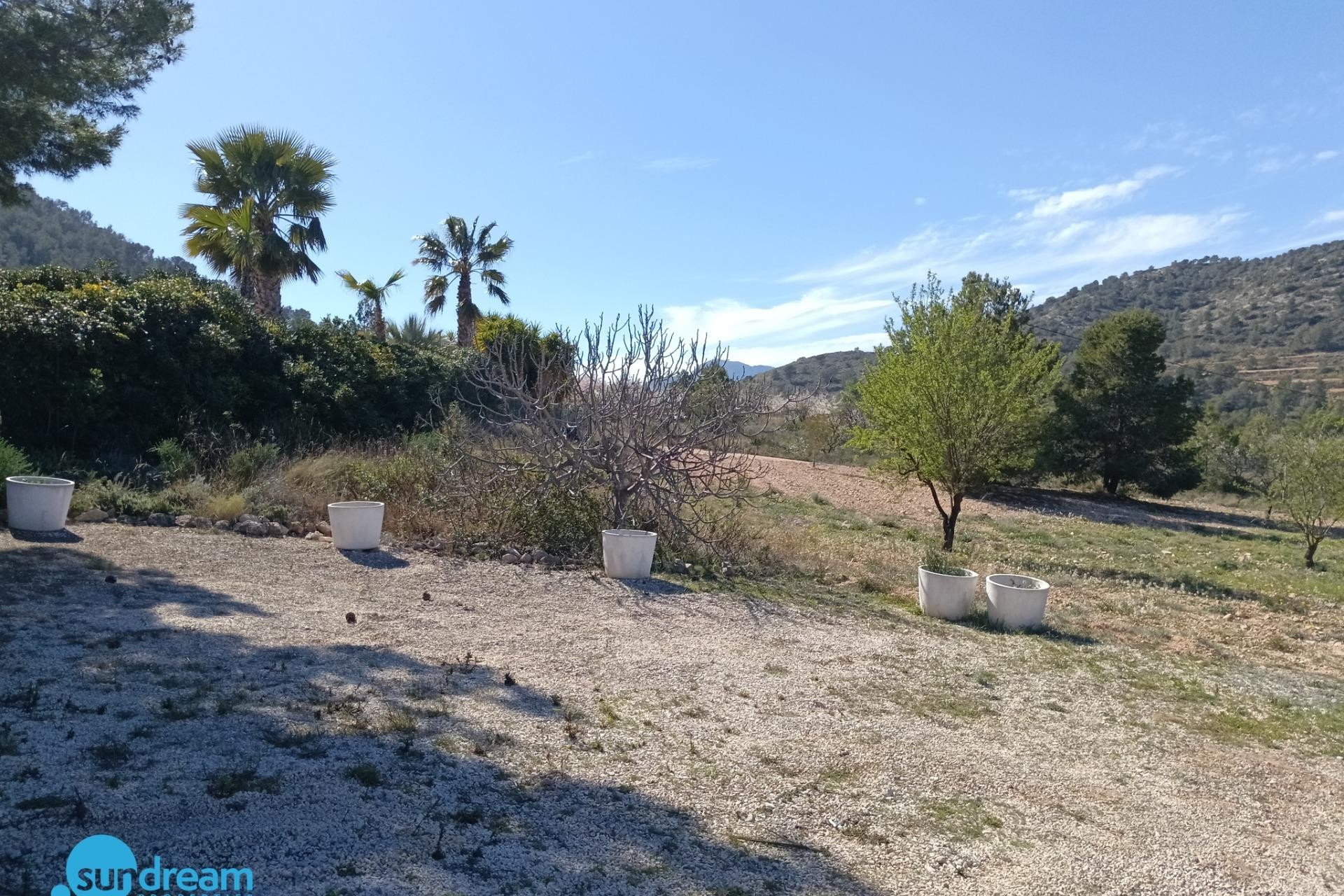 Resale - Villa -
Abanilla