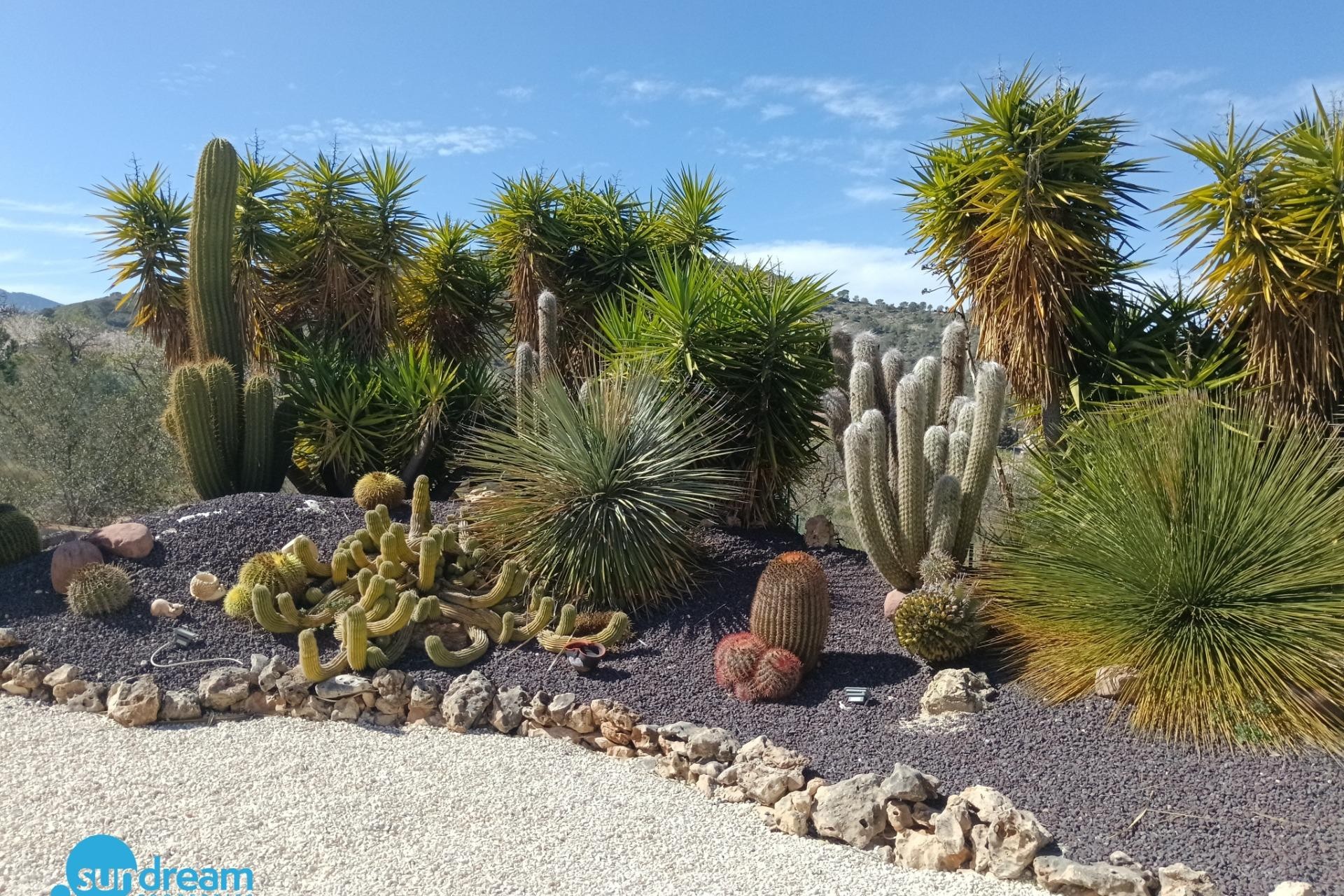 Resale - Villa -
Abanilla