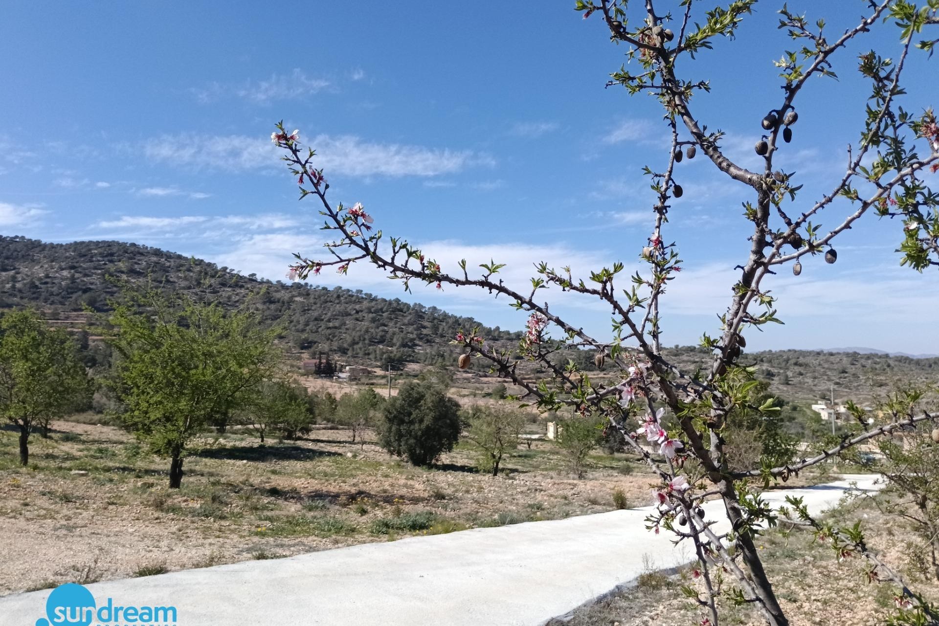 Resale - Villa -
Abanilla