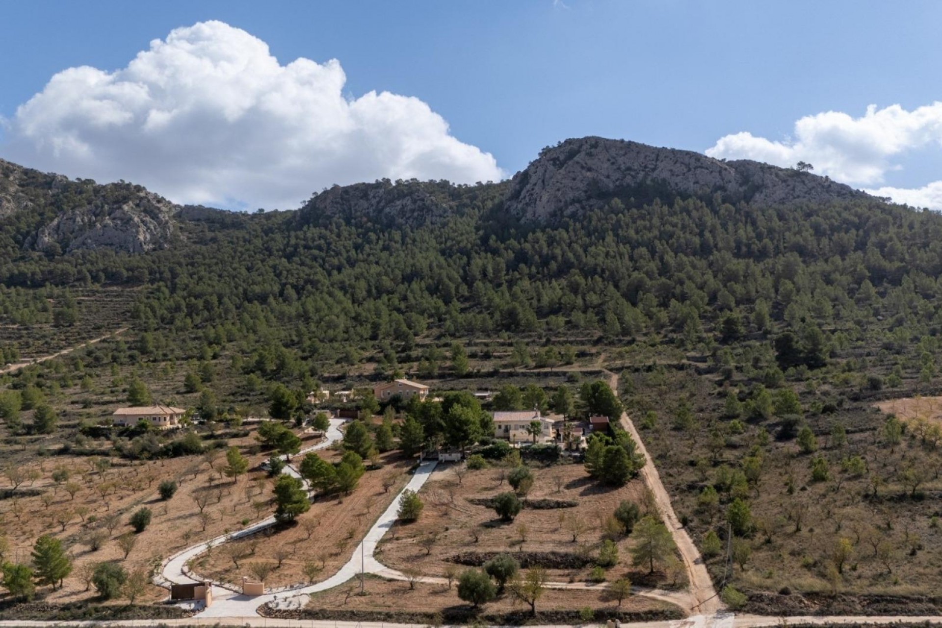 Resale - Villa -
Abanilla