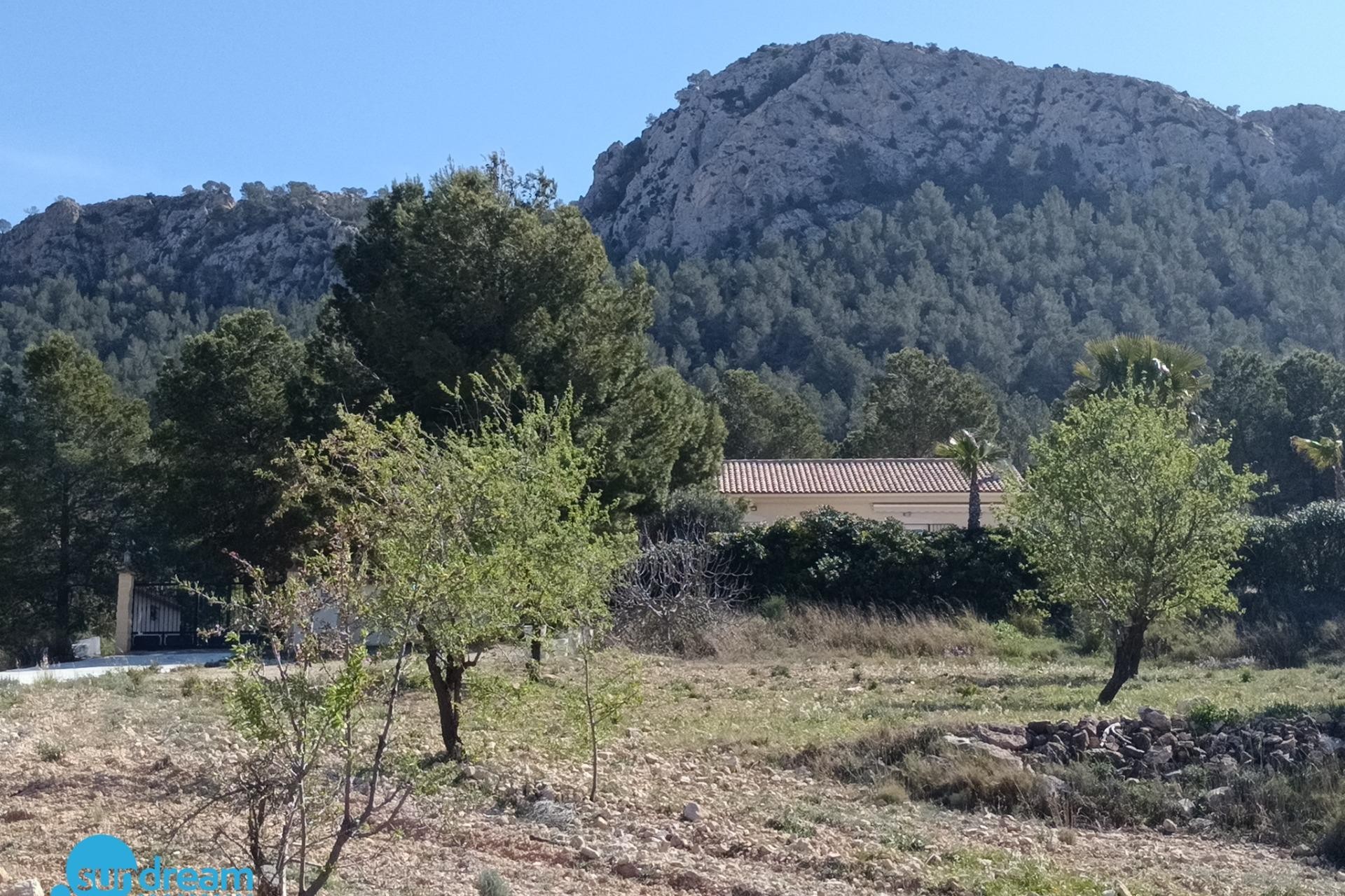 Resale - Villa -
Abanilla