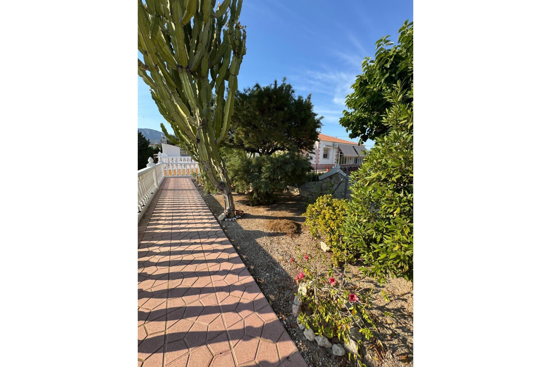 Resale - Villa -
Albatera - Partida Lomas